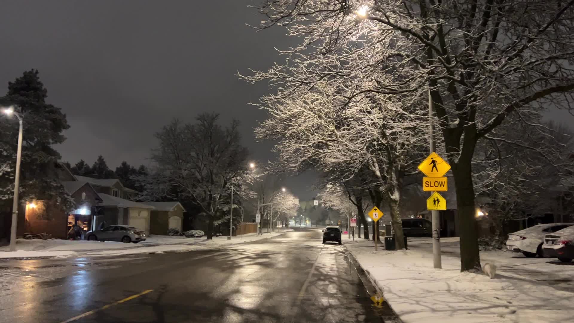 Snow falling in Toronto, Canada