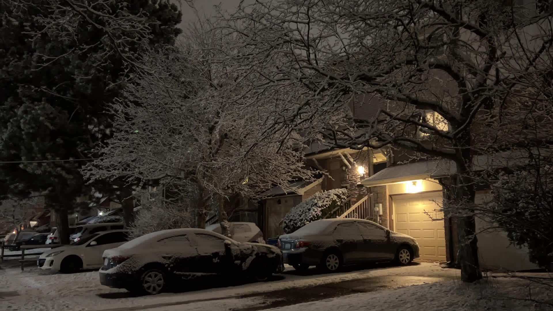 Snow falling in Toronto, Canada
