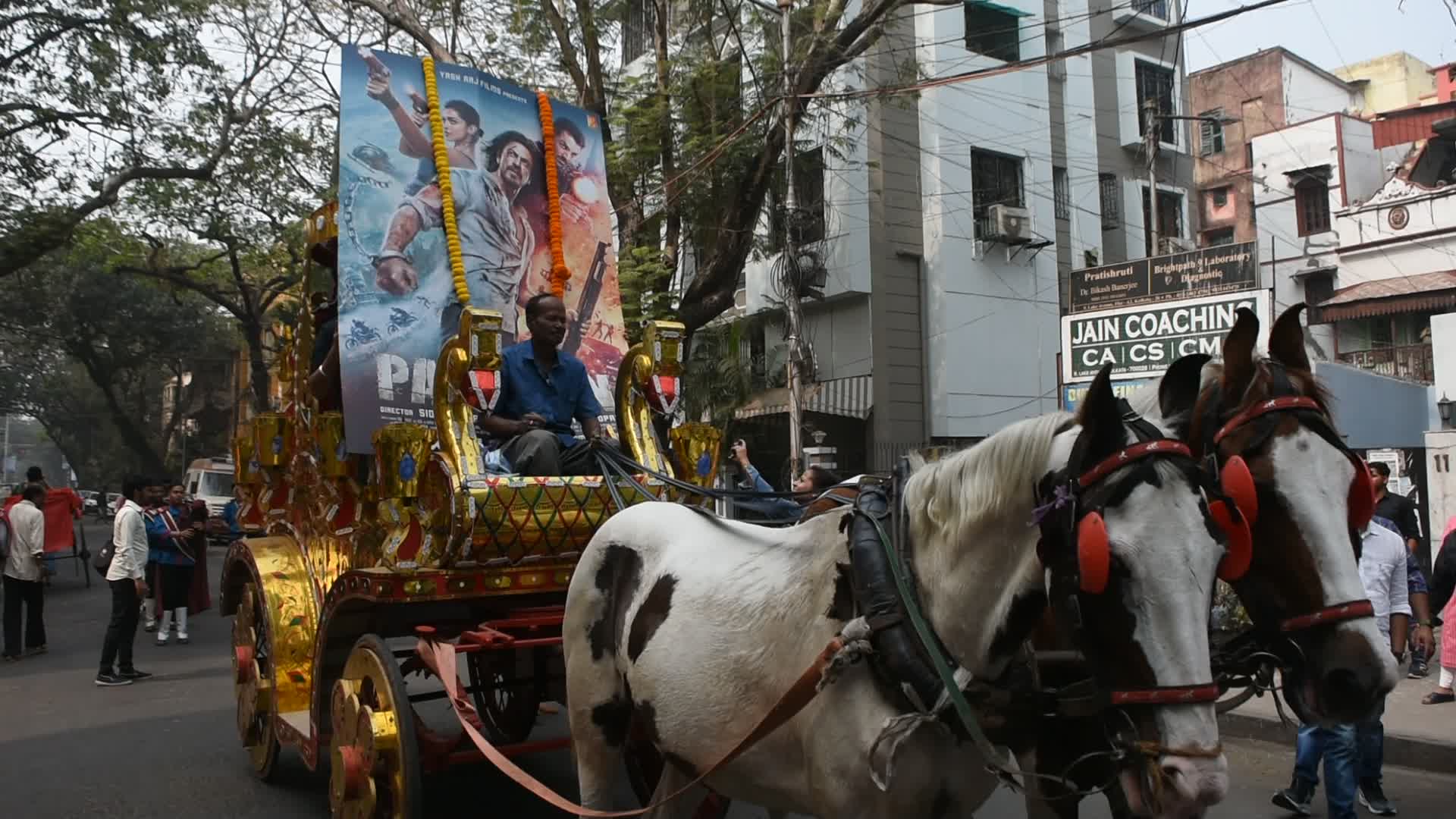 Sharukh Khan fan celebrate release of controversial Pathaan movie in India.
