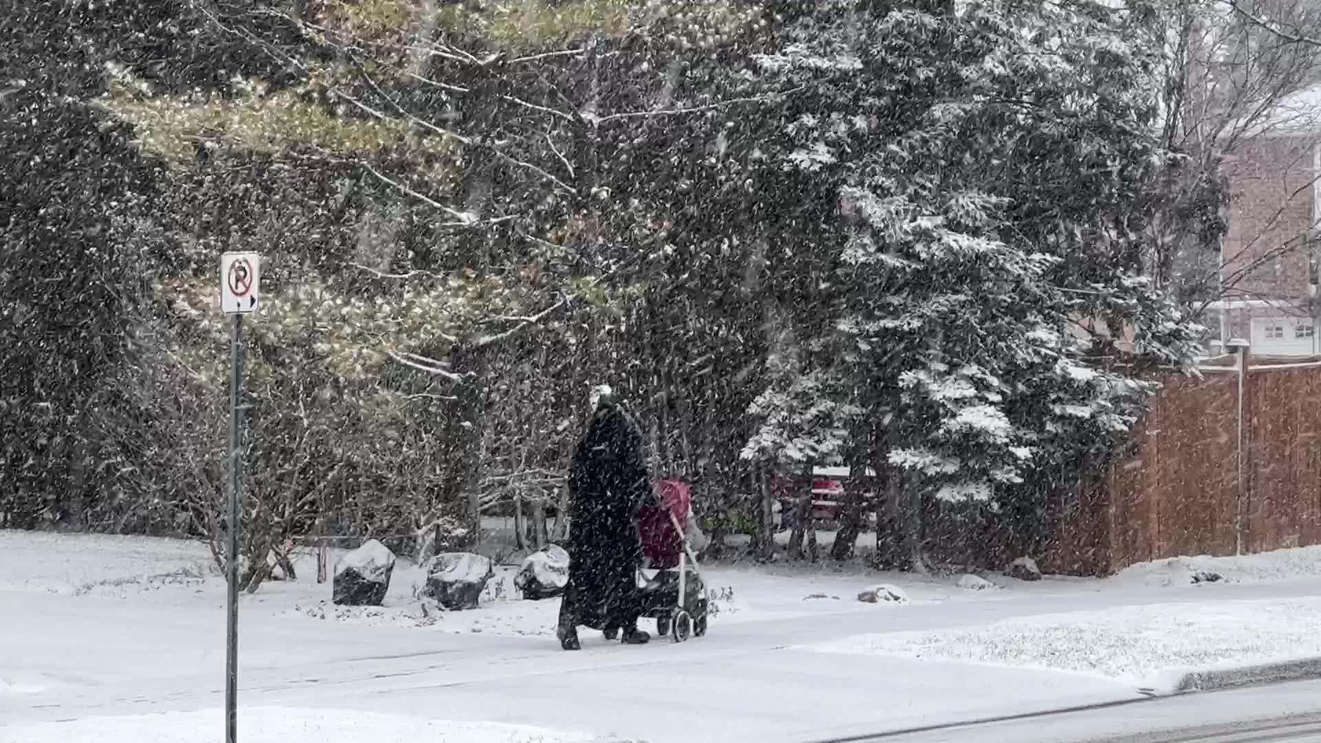 Toronto Gets Hit By Massive Winter Snowstorm