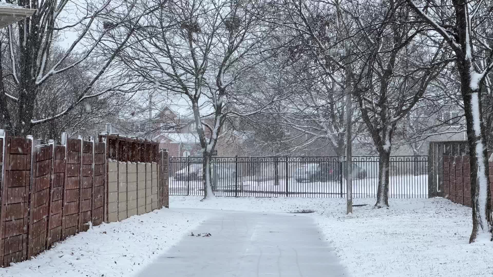 Toronto Gets Hit By Massive Winter Snowstorm