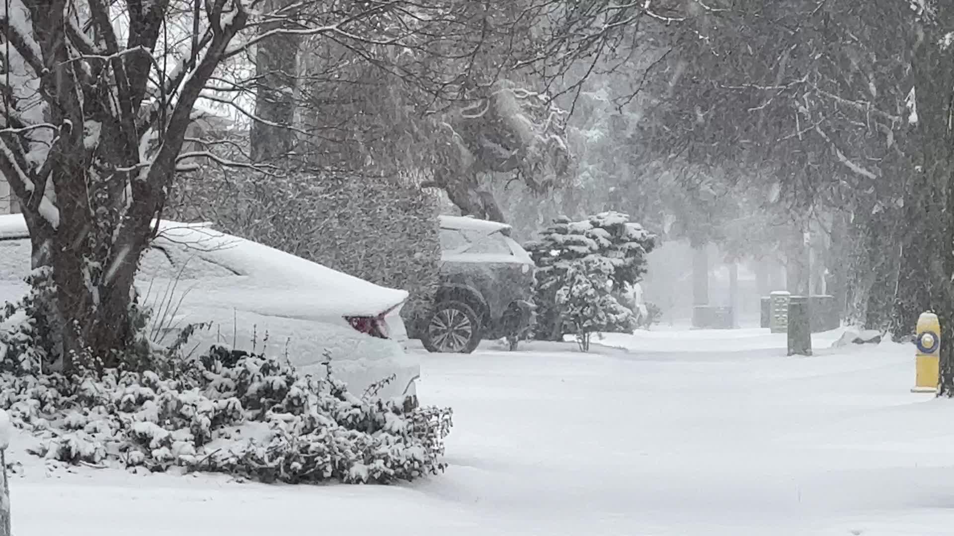 Toronto Gets Hit By Massive Winter Snowstorm