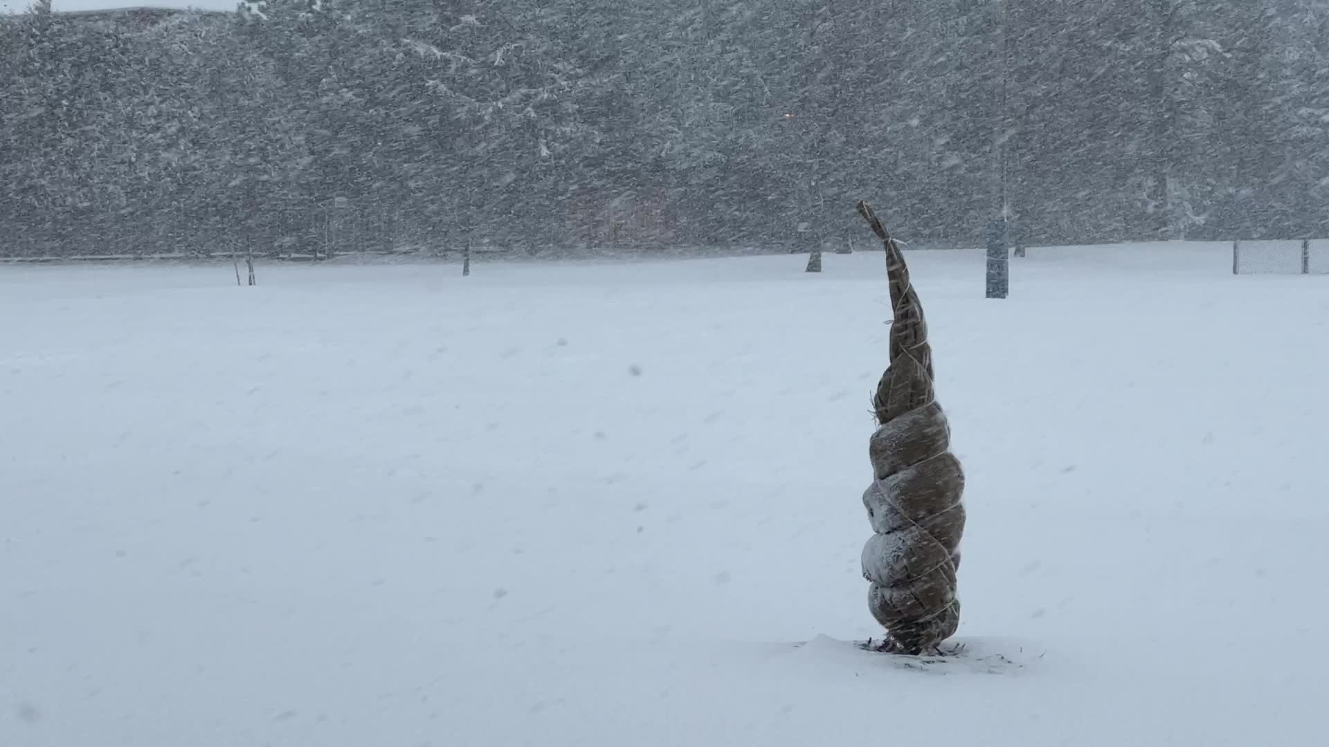 Toronto Gets Hit By Massive Winter Snowstorm