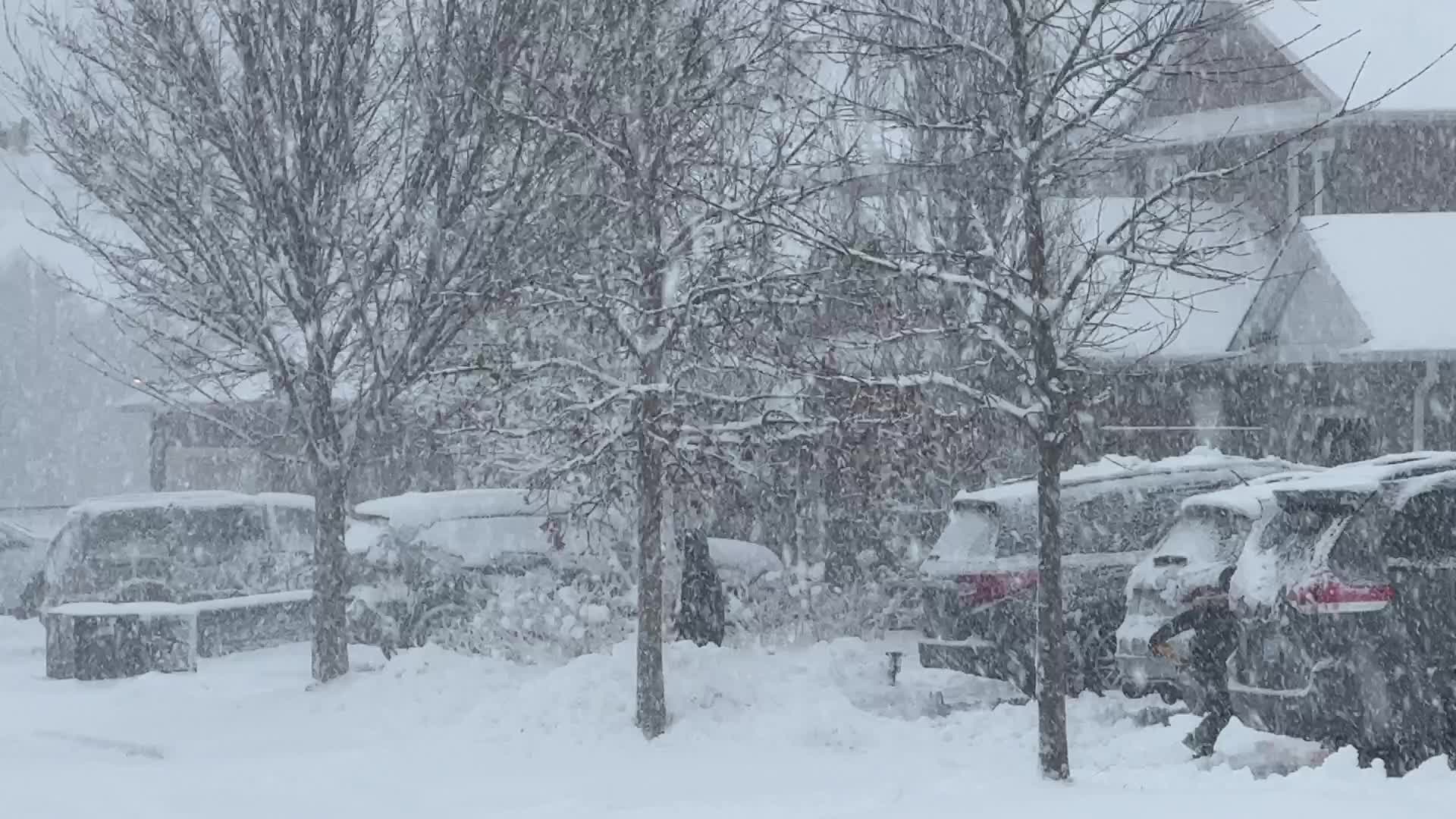 Toronto Gets Hit By Massive Winter Snowstorm