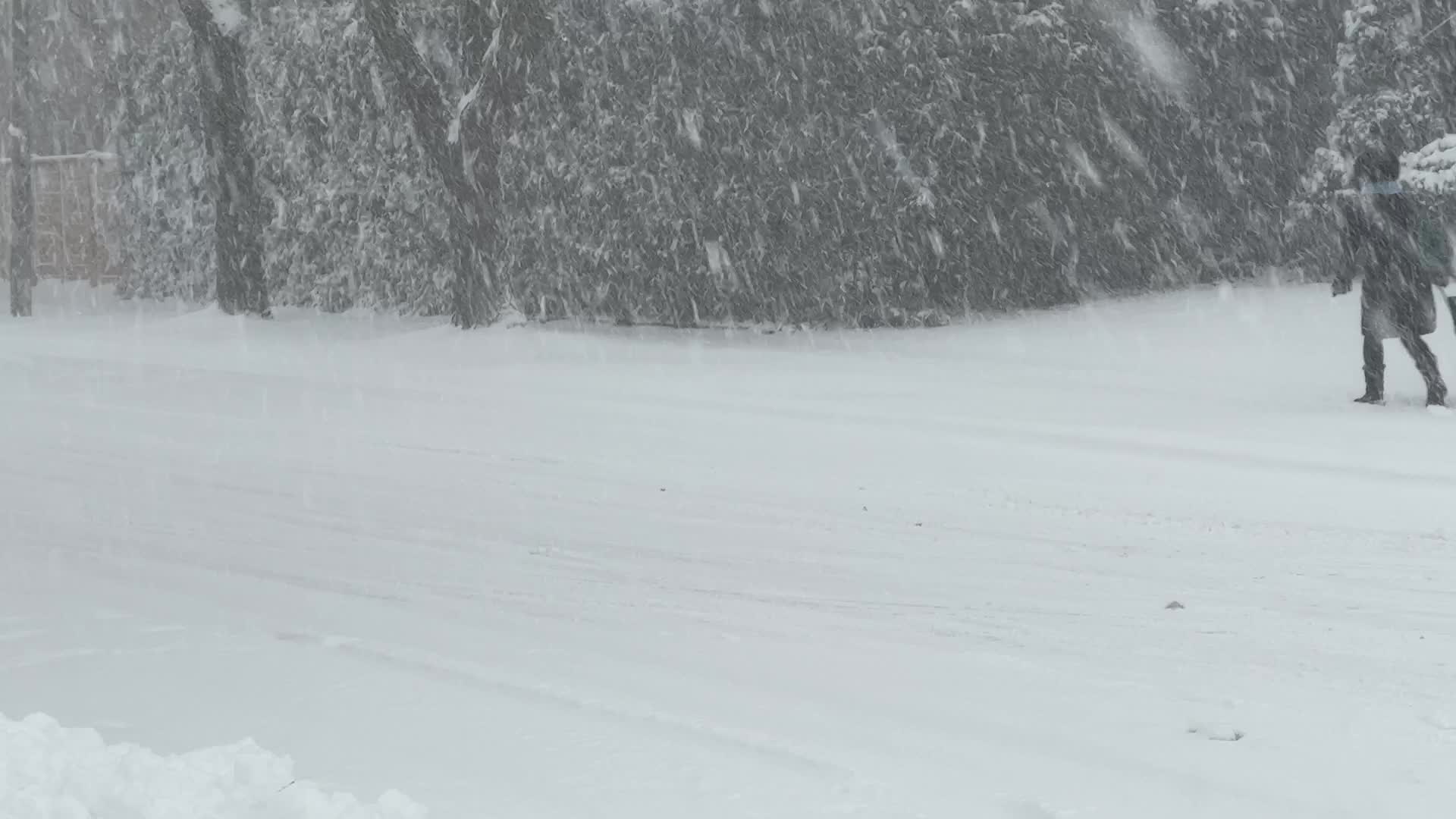 Toronto Gets Hit By Massive Winter Snowstorm