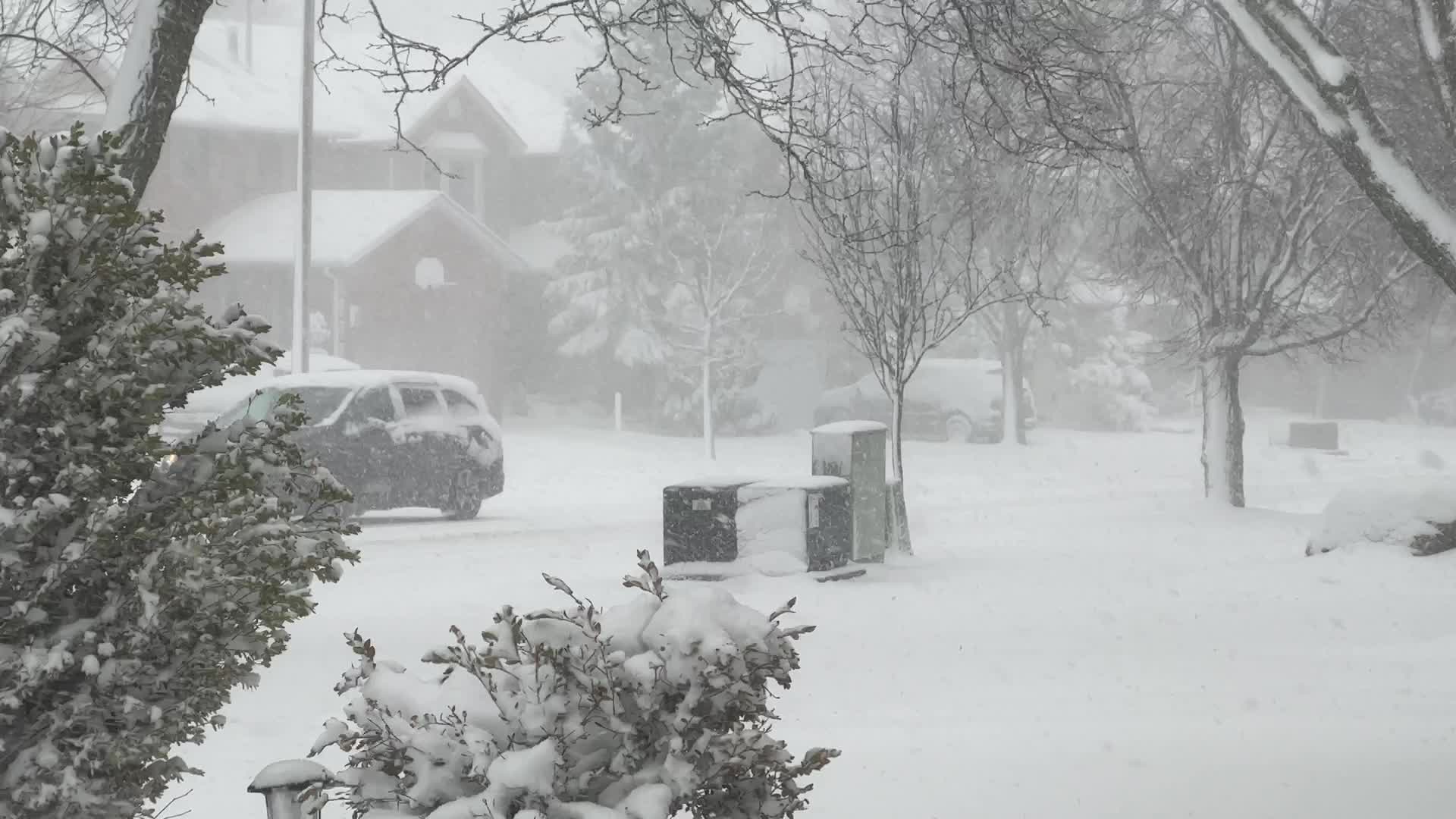 Toronto Gets Hit By Massive Winter Snowstorm