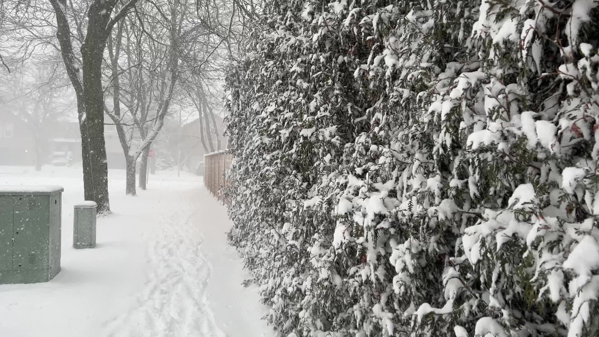 Toronto Gets Hit By Massive Winter Snowstorm