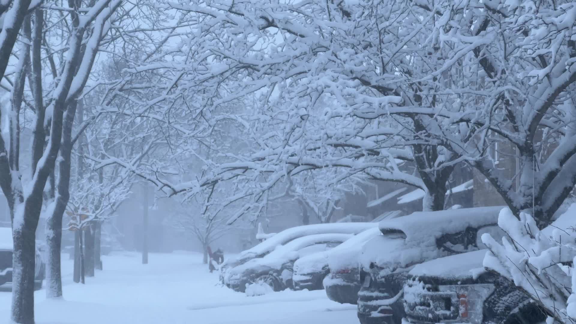 Toronto Gets Hit By Massive Winter Snowstorm