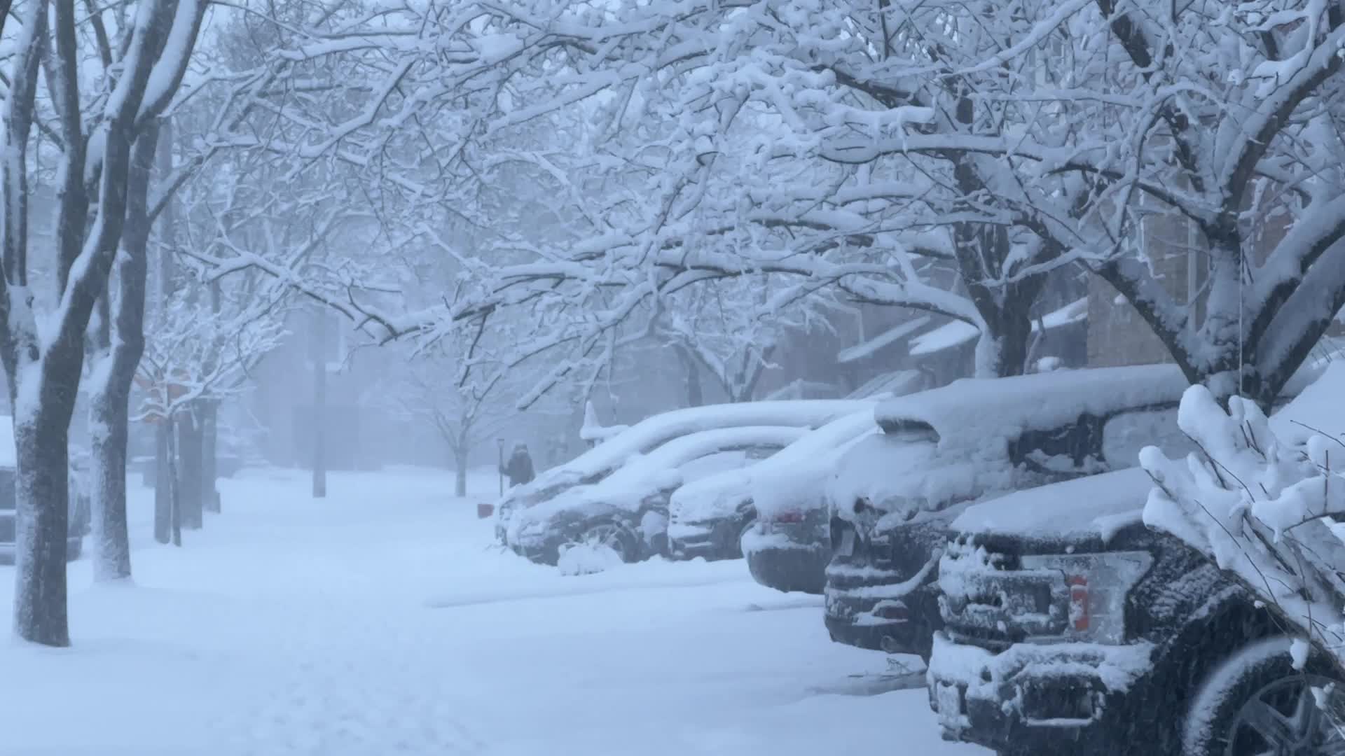 Toronto Gets Hit By Massive Winter Snowstorm