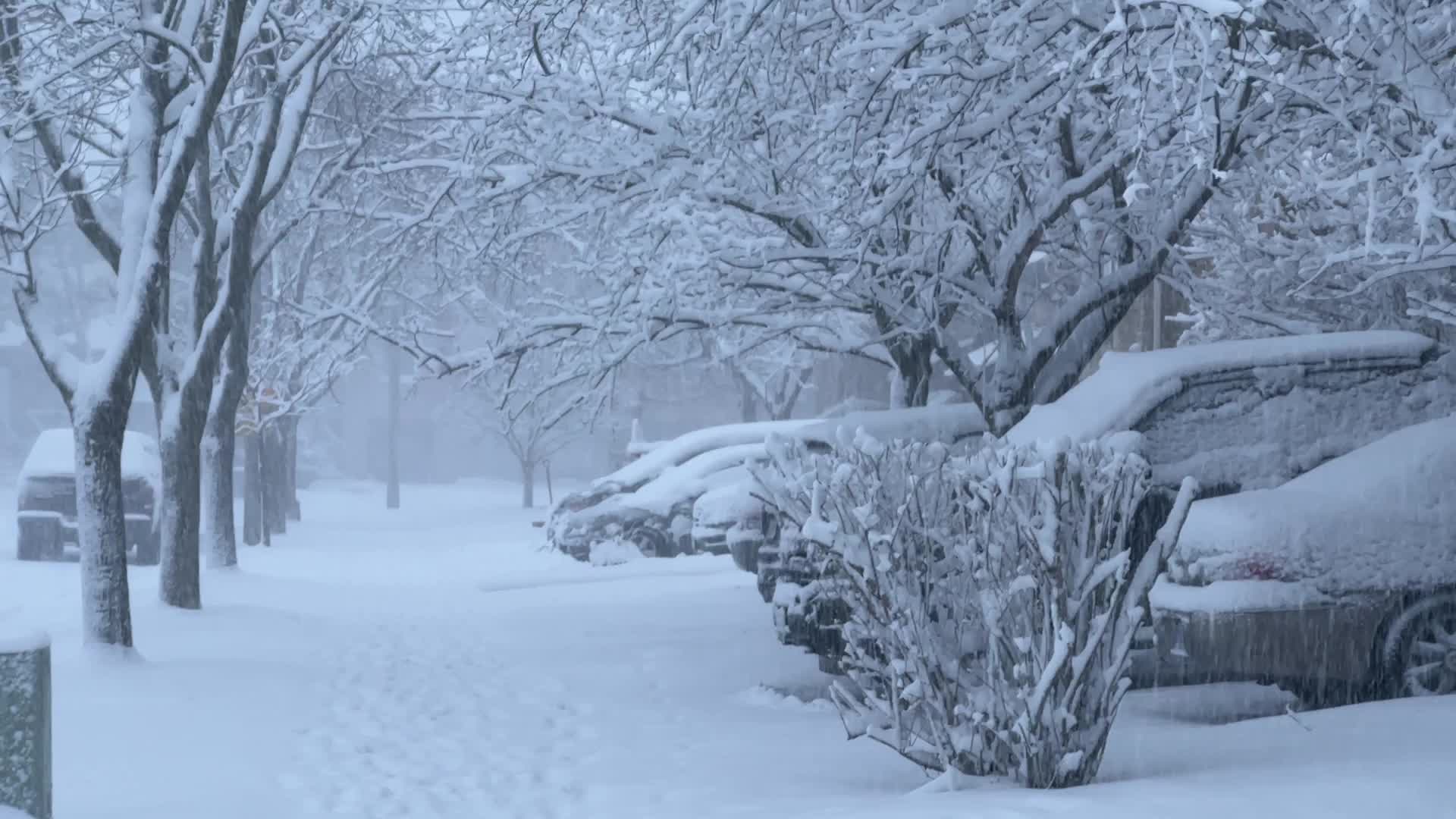 Toronto Gets Hit By Massive Winter Snowstorm