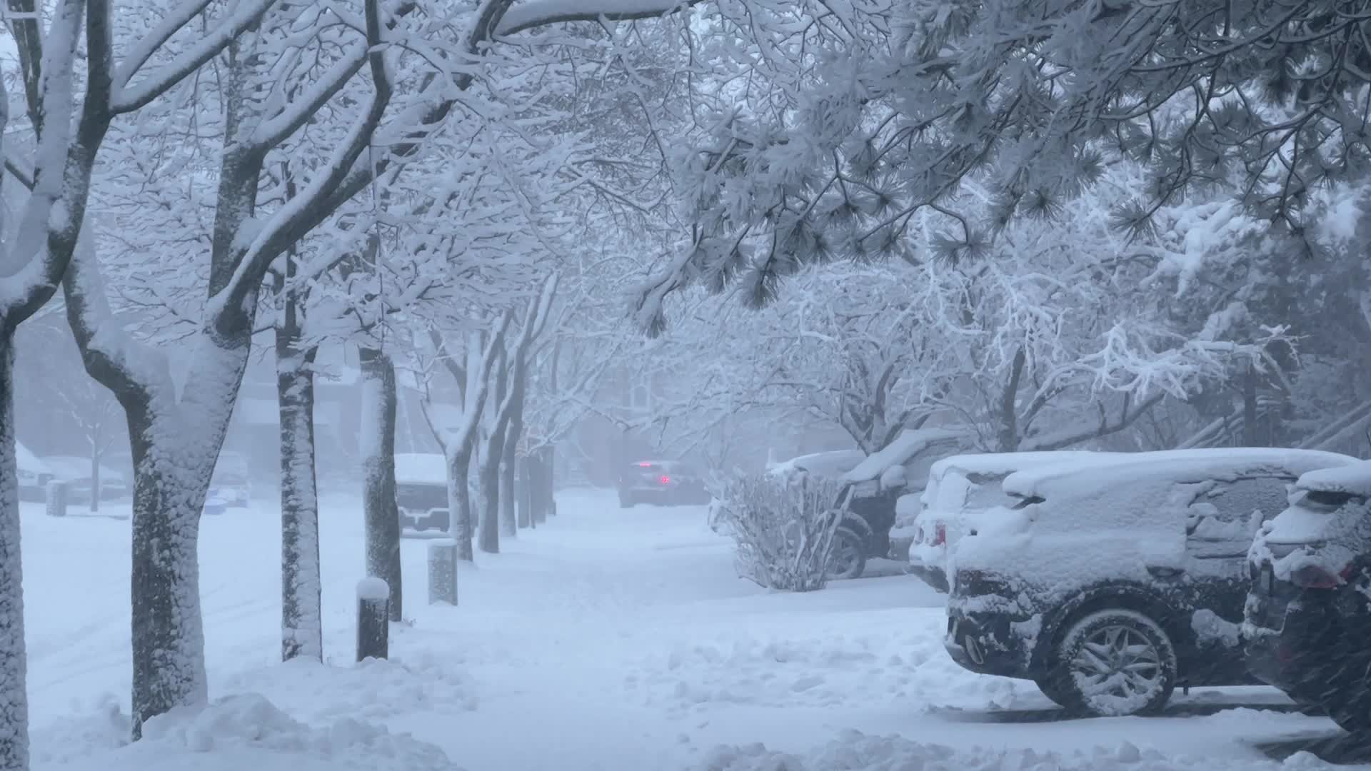 Toronto Gets Hit By Massive Winter Snowstorm