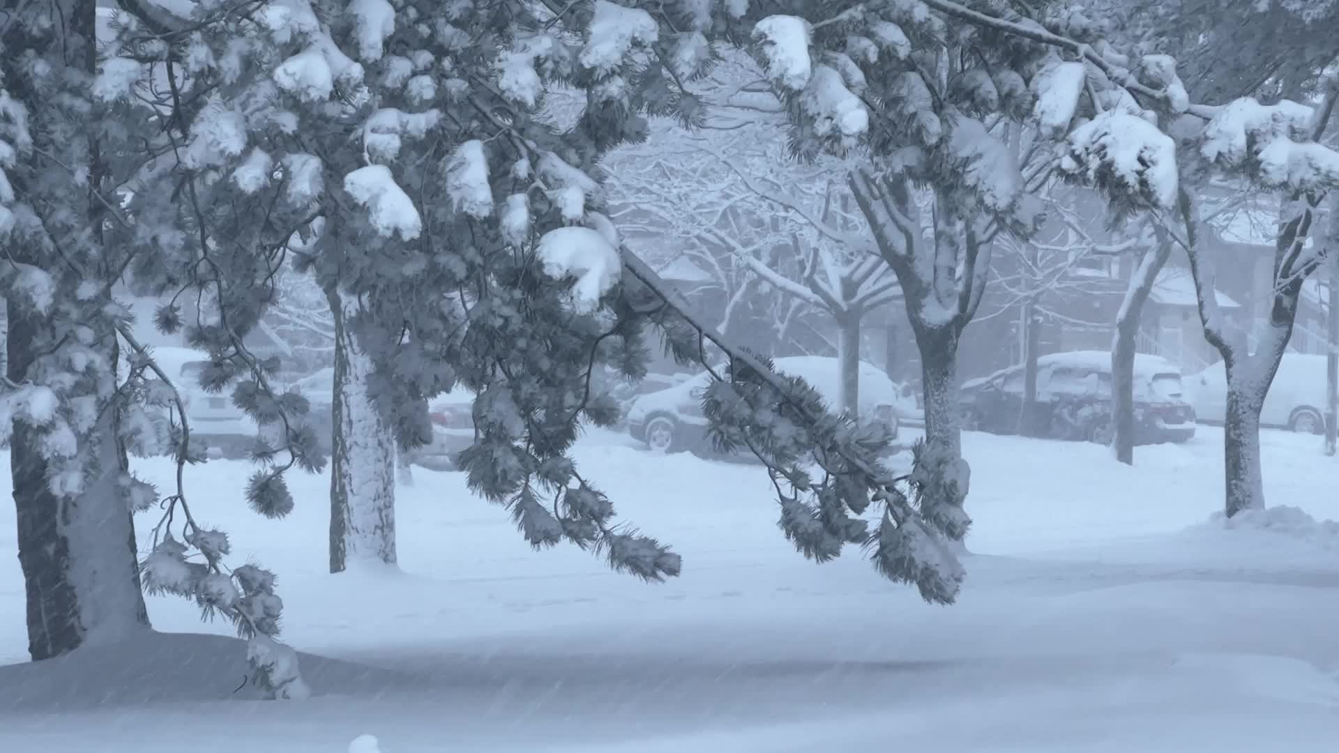 Toronto Gets Hit By Massive Winter Snowstorm