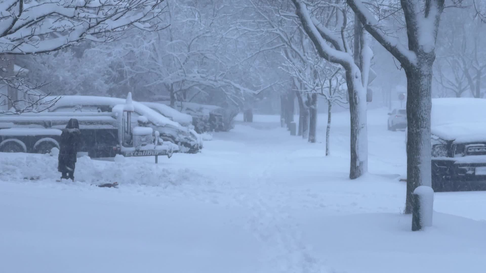 Toronto Gets Hit By Massive Winter Snowstorm