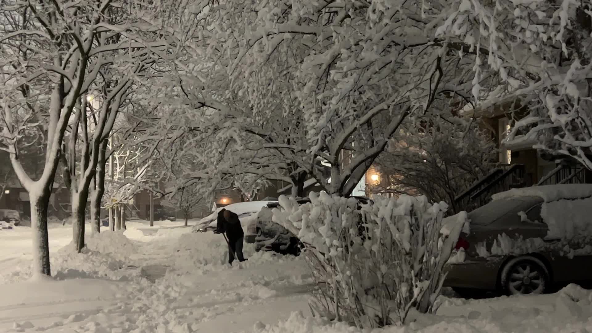 Toronto Gets Hit By Massive Winter Snowstorm