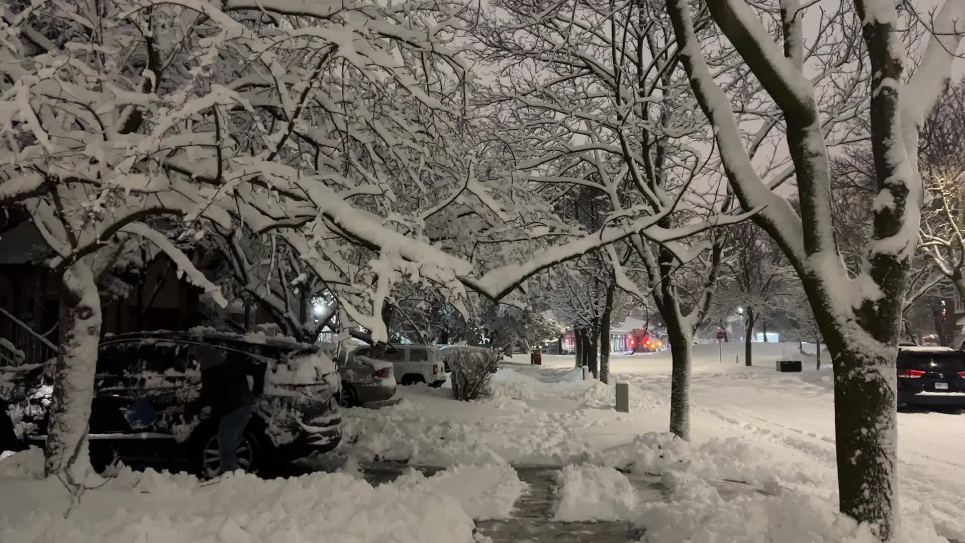 Toronto Gets Hit By Massive Winter Snowstorm