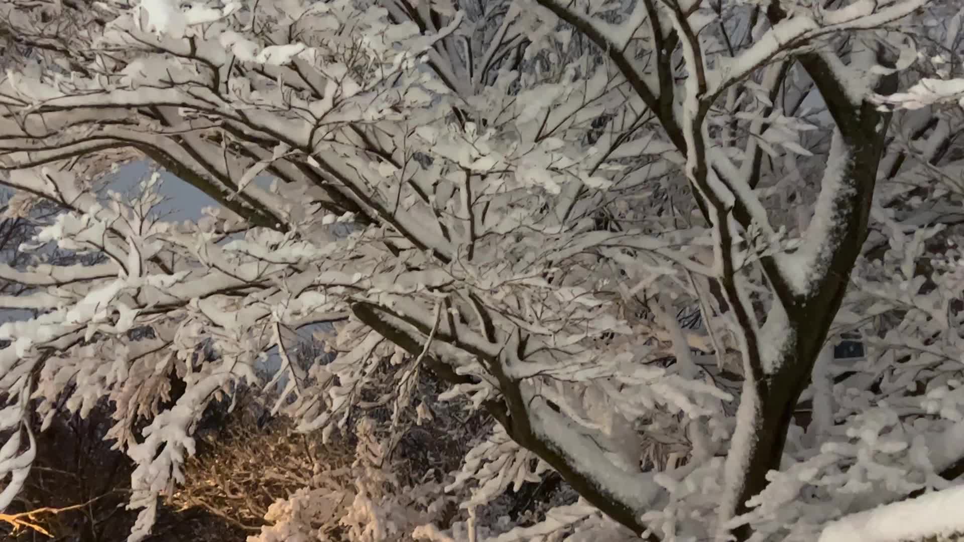 Toronto Gets Hit By Massive Winter Snowstorm