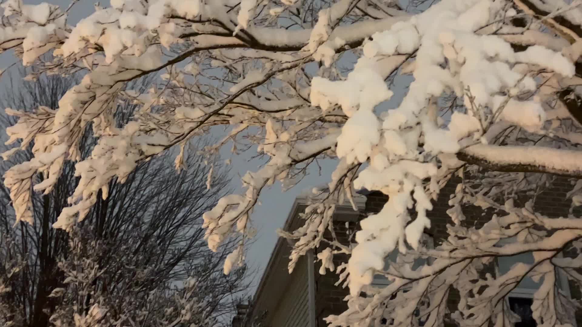 Toronto Gets Hit By Massive Winter Snowstorm