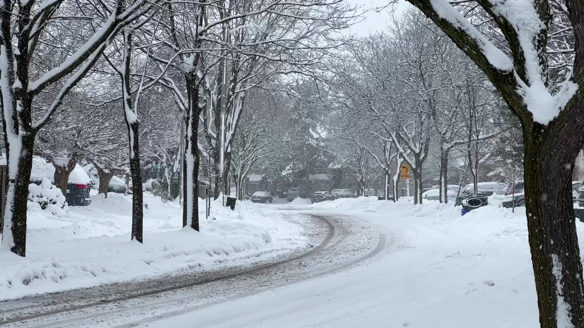 Heavy Snow Hits Toronto