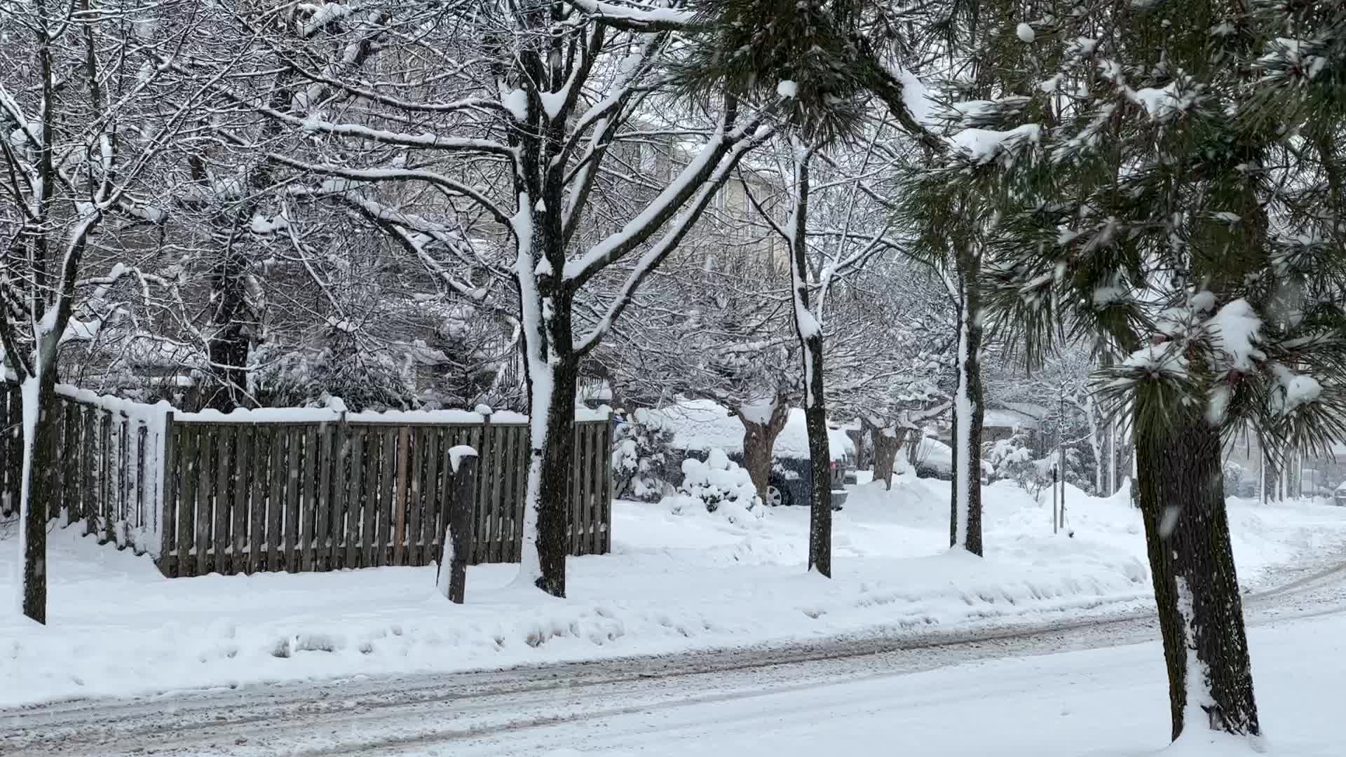 Heavy Snow Hits Toronto