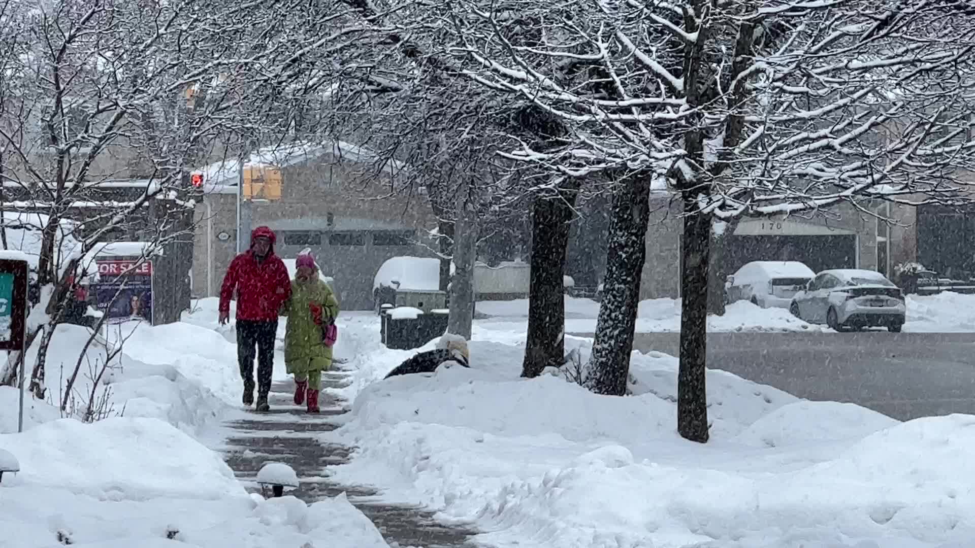 Heavy Snow Hits Toronto