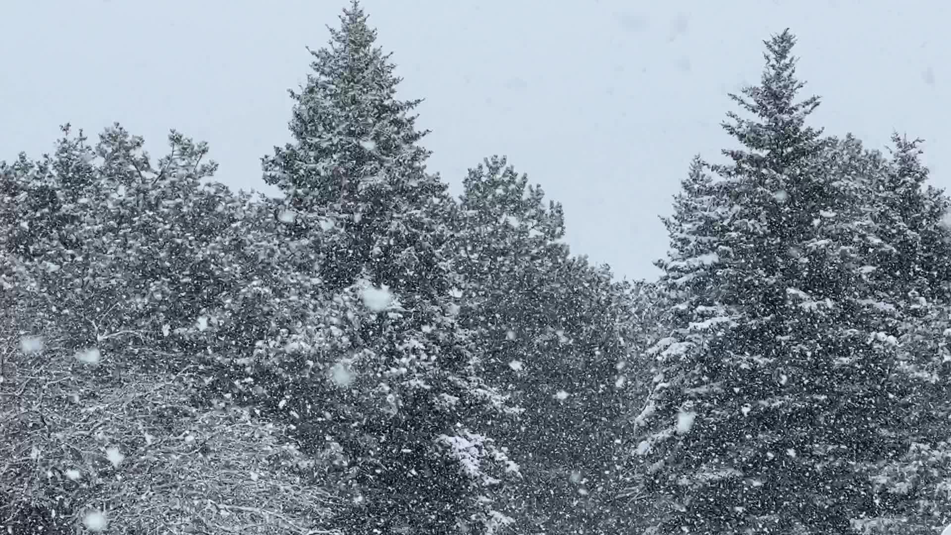 Heavy Snow Hits Toronto