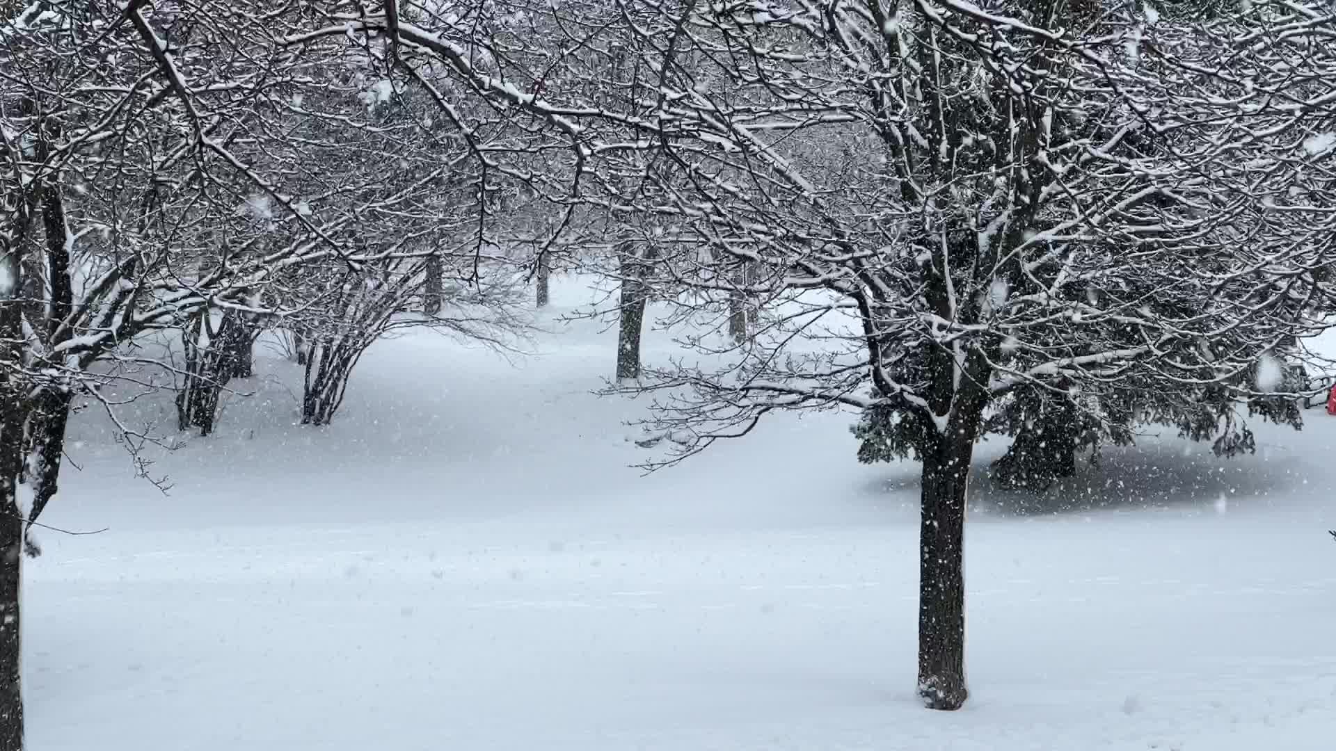 Heavy Snow Hits Toronto