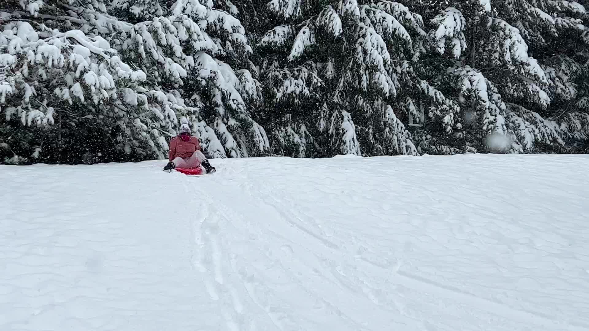 Heavy Snow Hits Toronto
