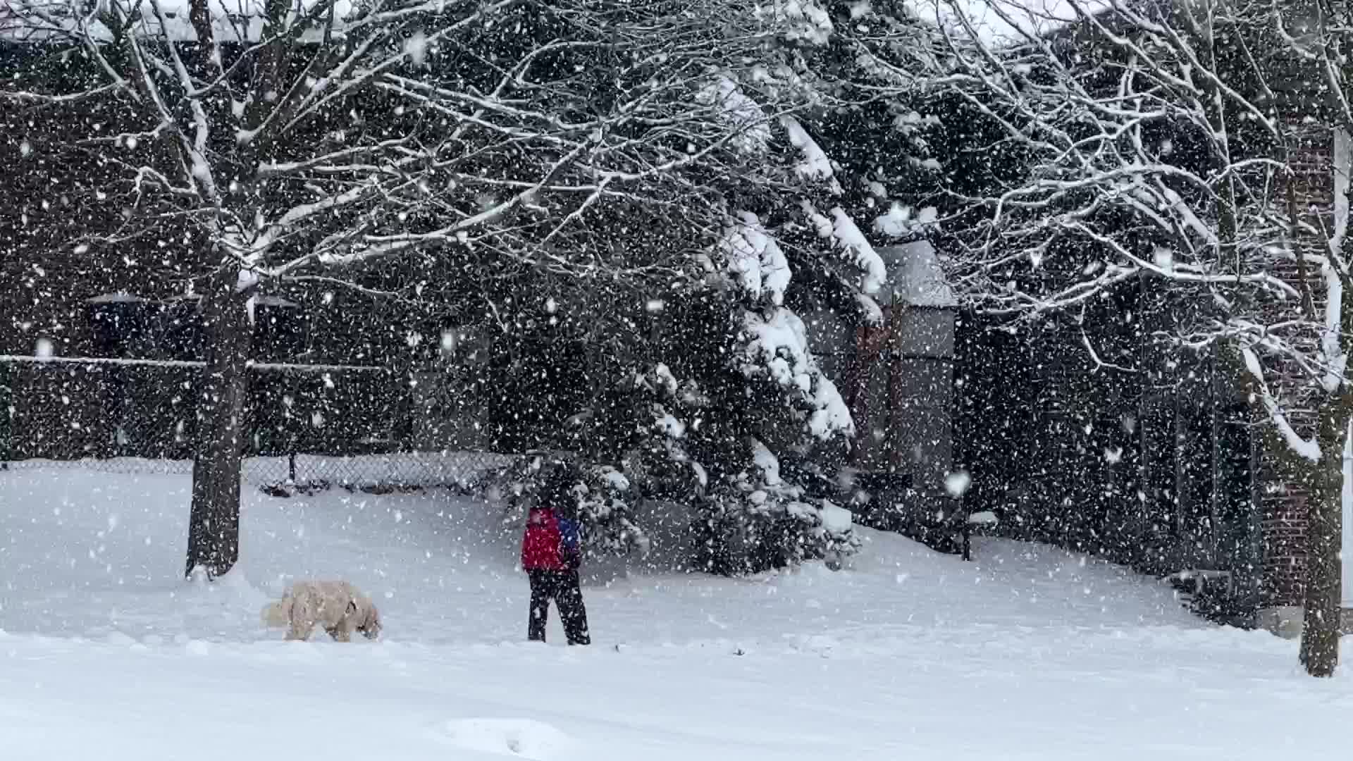 Heavy Snow Hits Toronto
