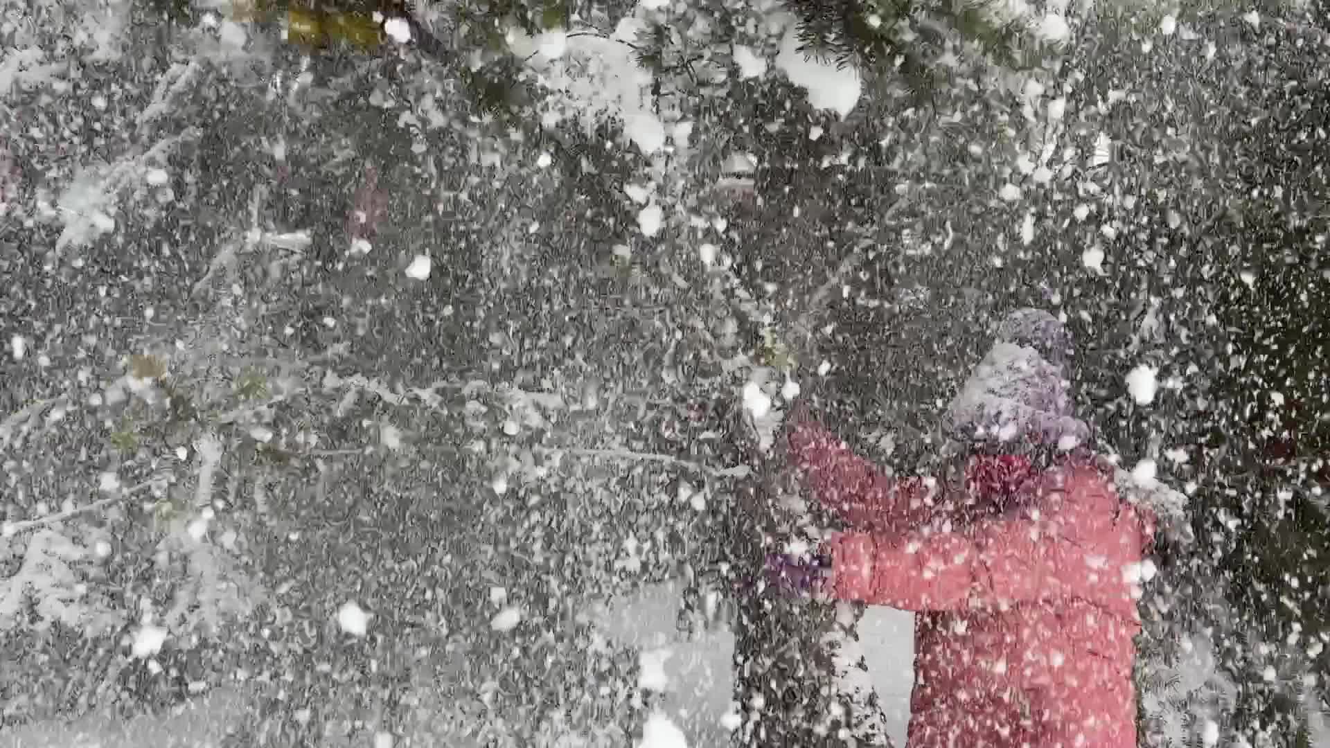 Heavy Snow Hits Toronto