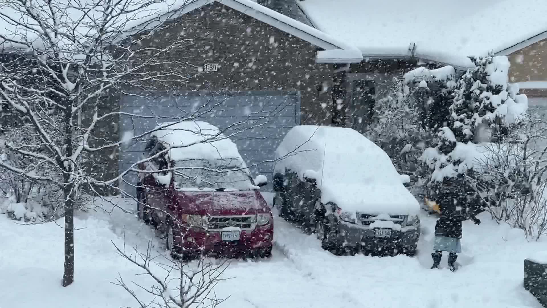 Heavy Snow Hits Toronto