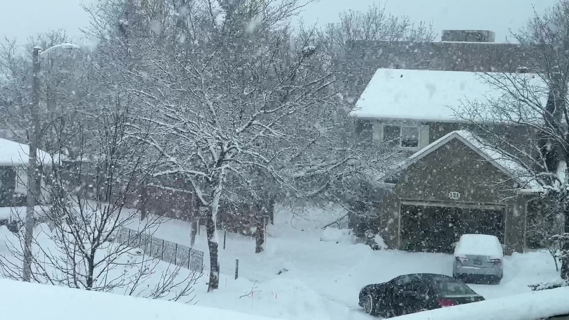 Heavy Snow Hits Toronto
