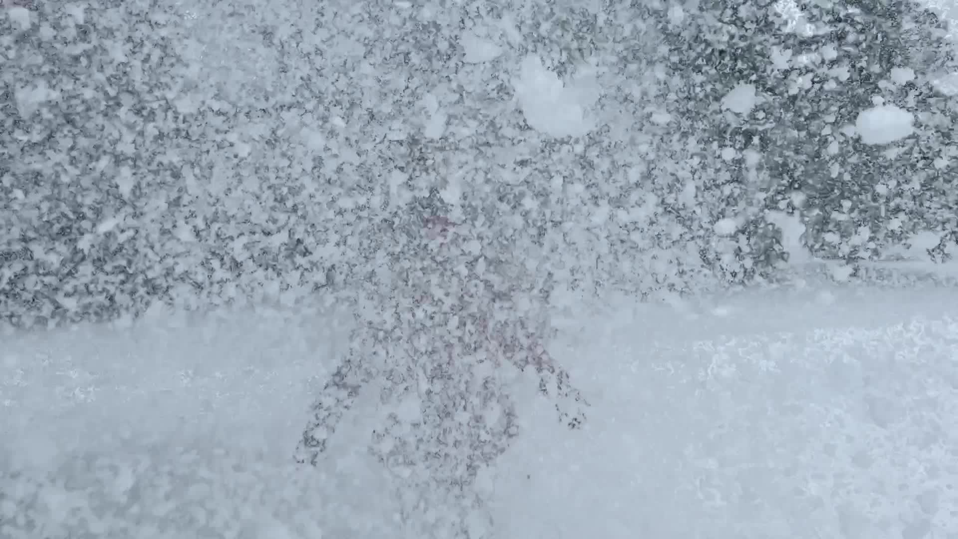 Heavy Snow Hits Toronto