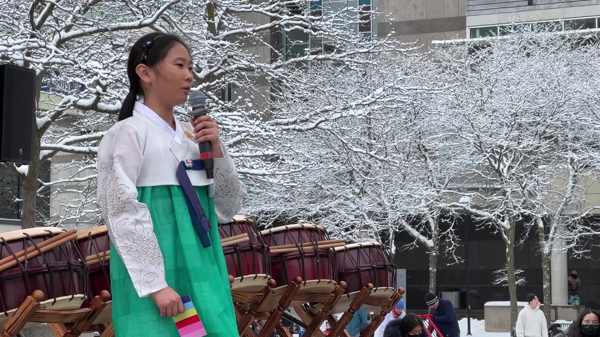 Lunar New Year Celebration in Toronto