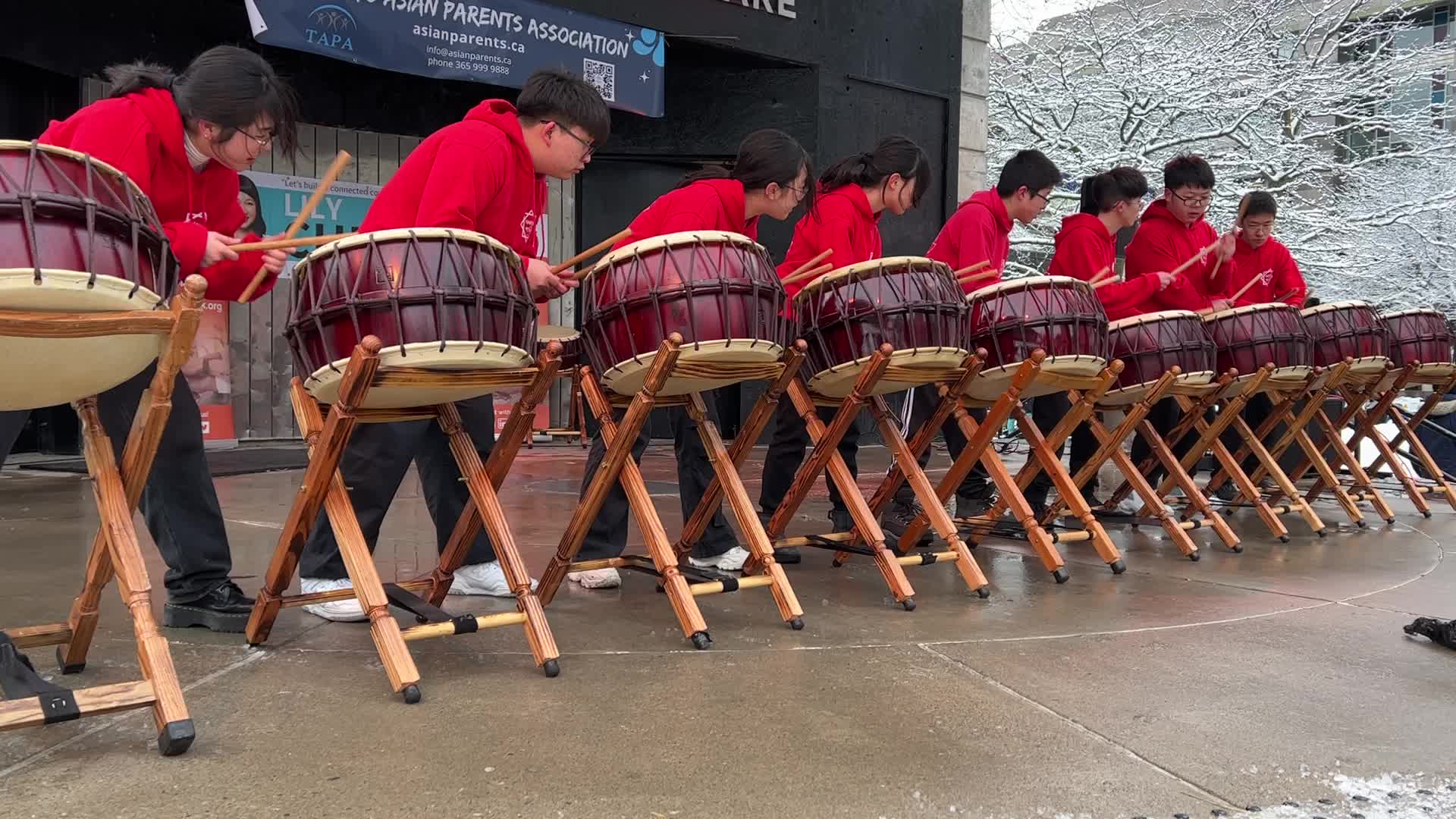 Lunar New Year Celebration in Toronto
