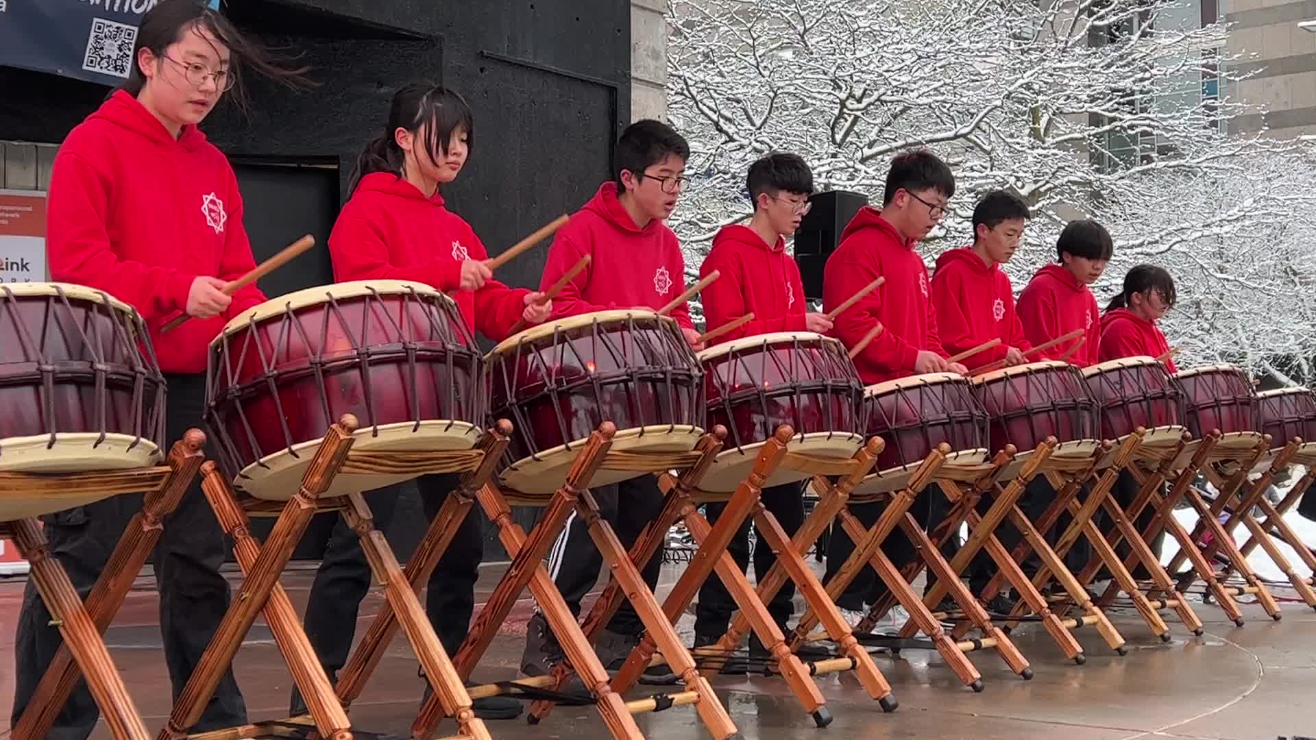 Lunar New Year Celebration in Toronto