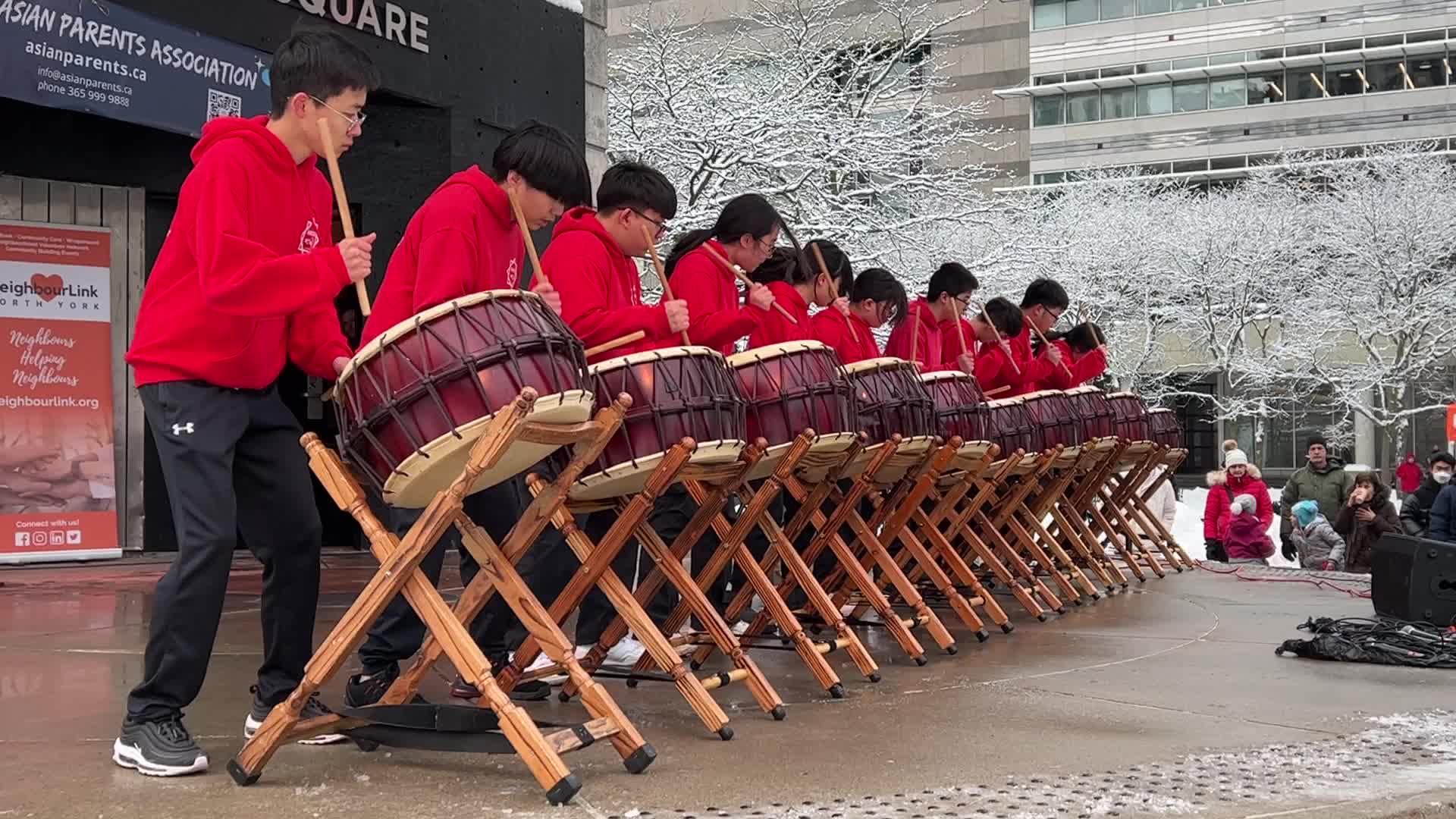 Lunar New Year Celebration in Toronto