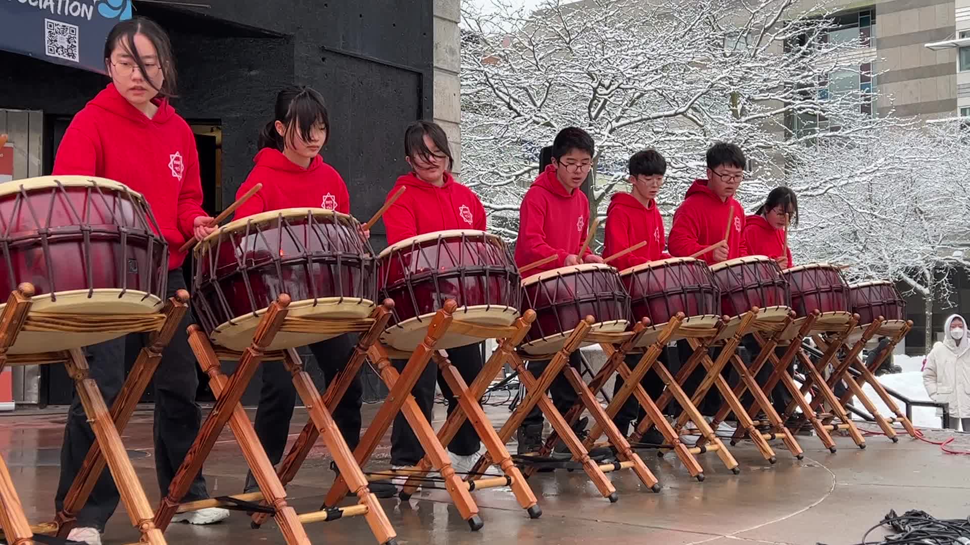 Lunar New Year Celebration in Toronto