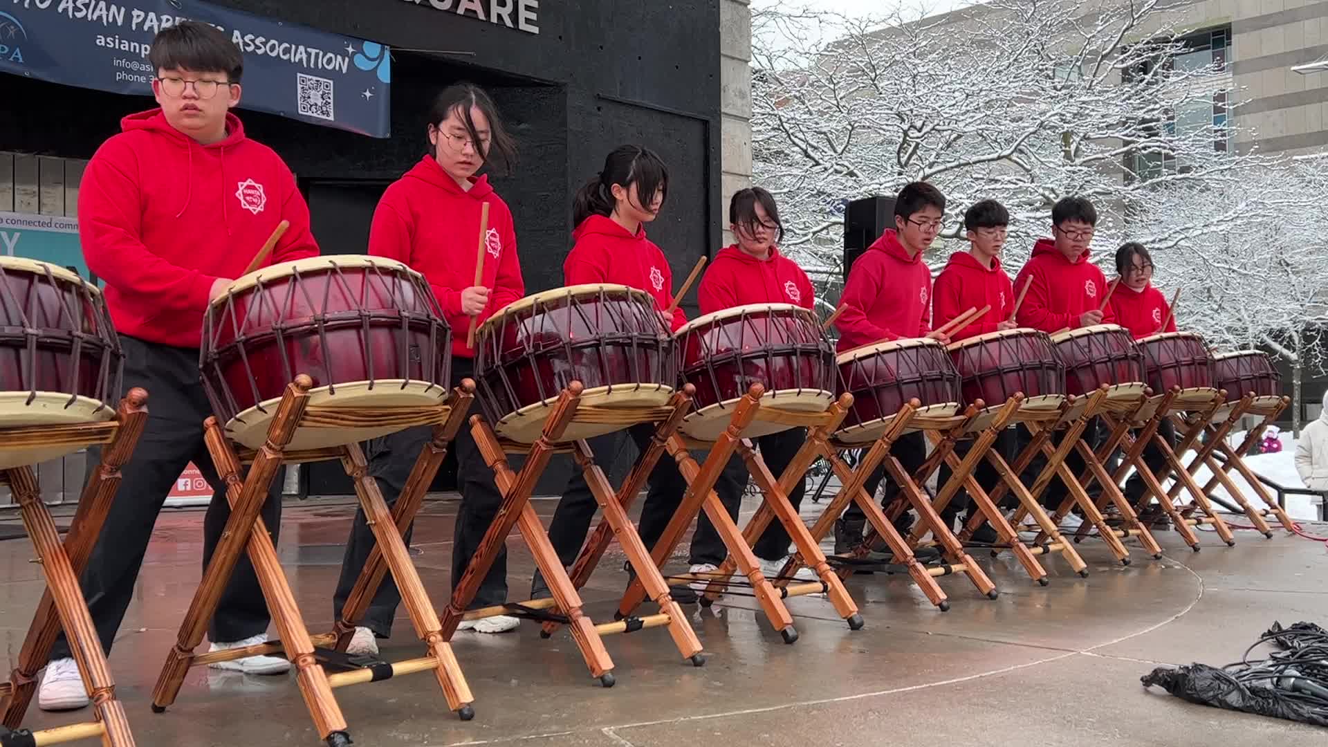 Lunar New Year Celebration in Toronto
