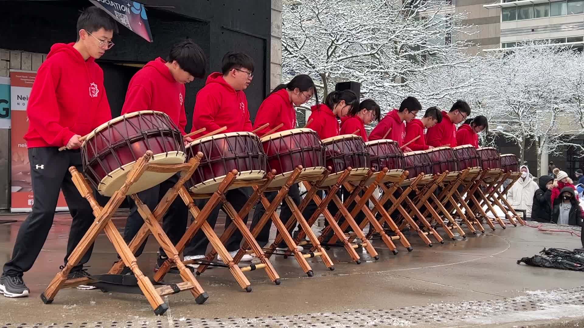 Lunar New Year Celebration in Toronto