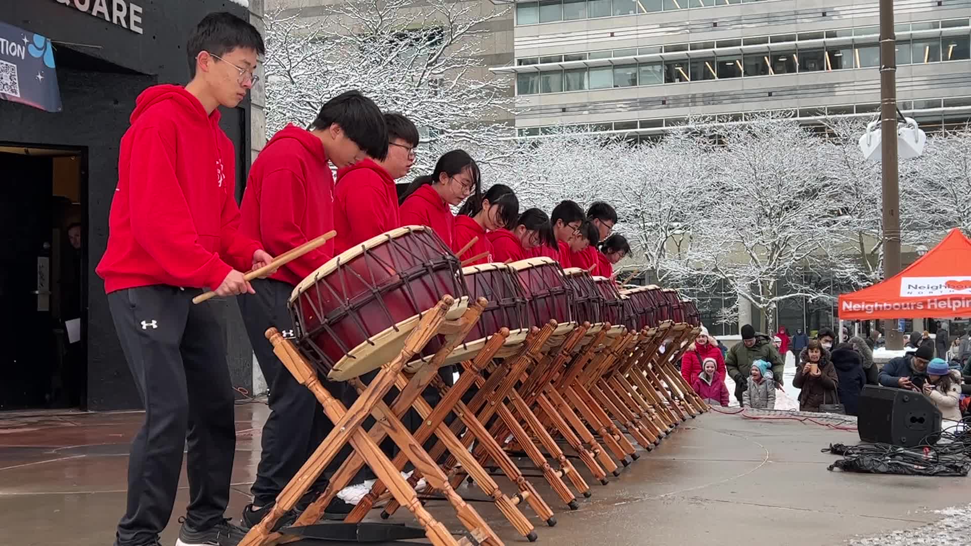 Lunar New Year Celebration in Toronto