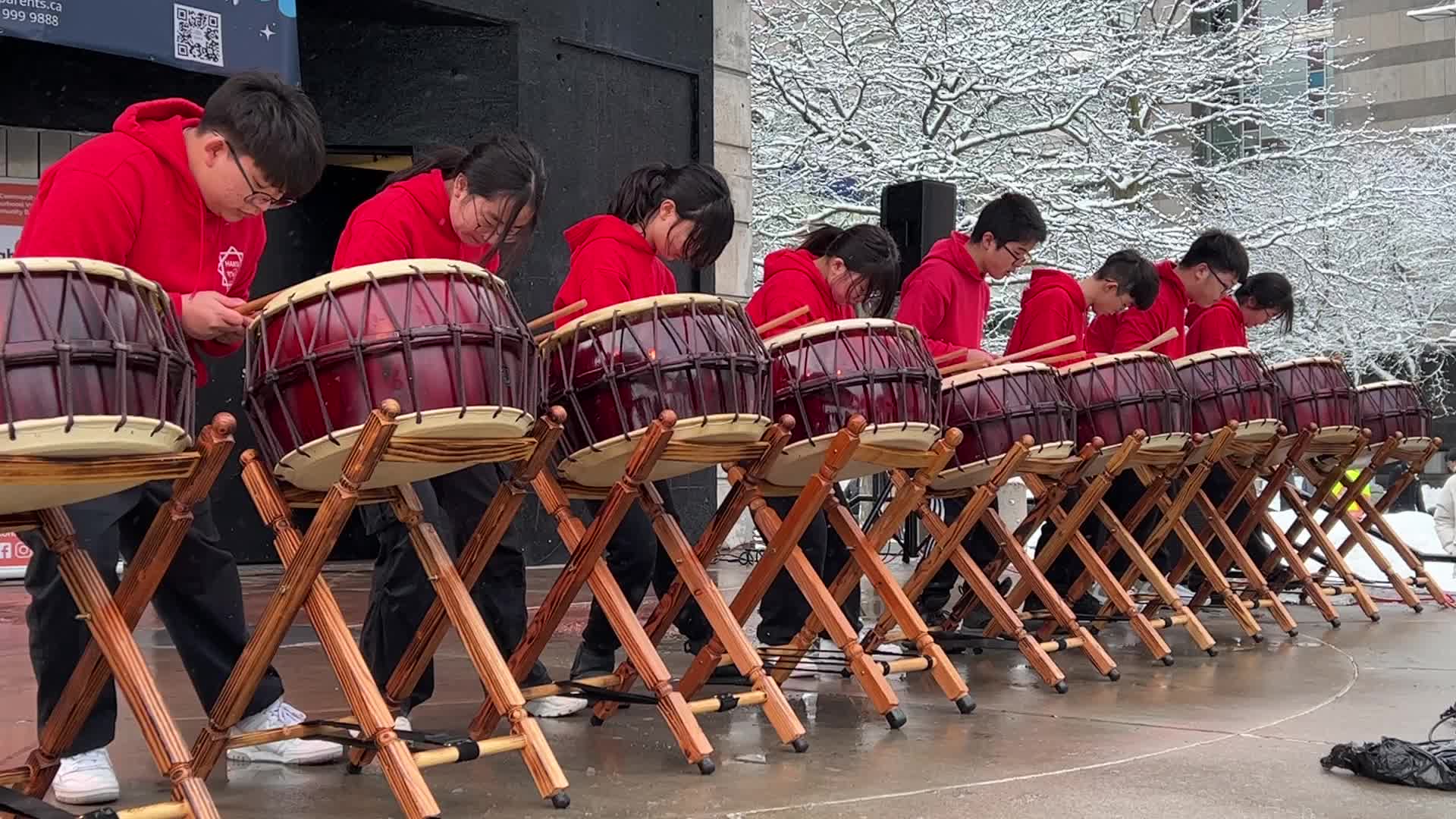 Lunar New Year Celebration in Toronto