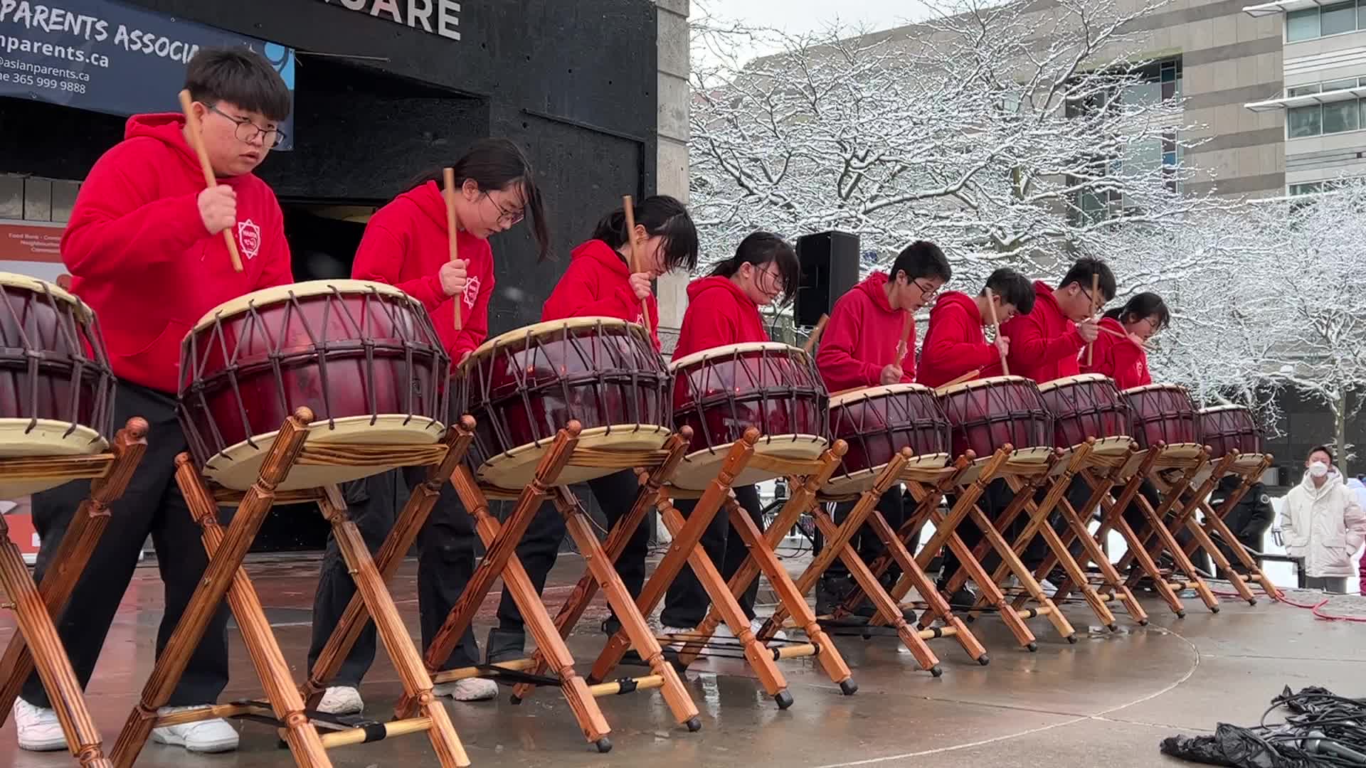 Lunar New Year Celebration in Toronto