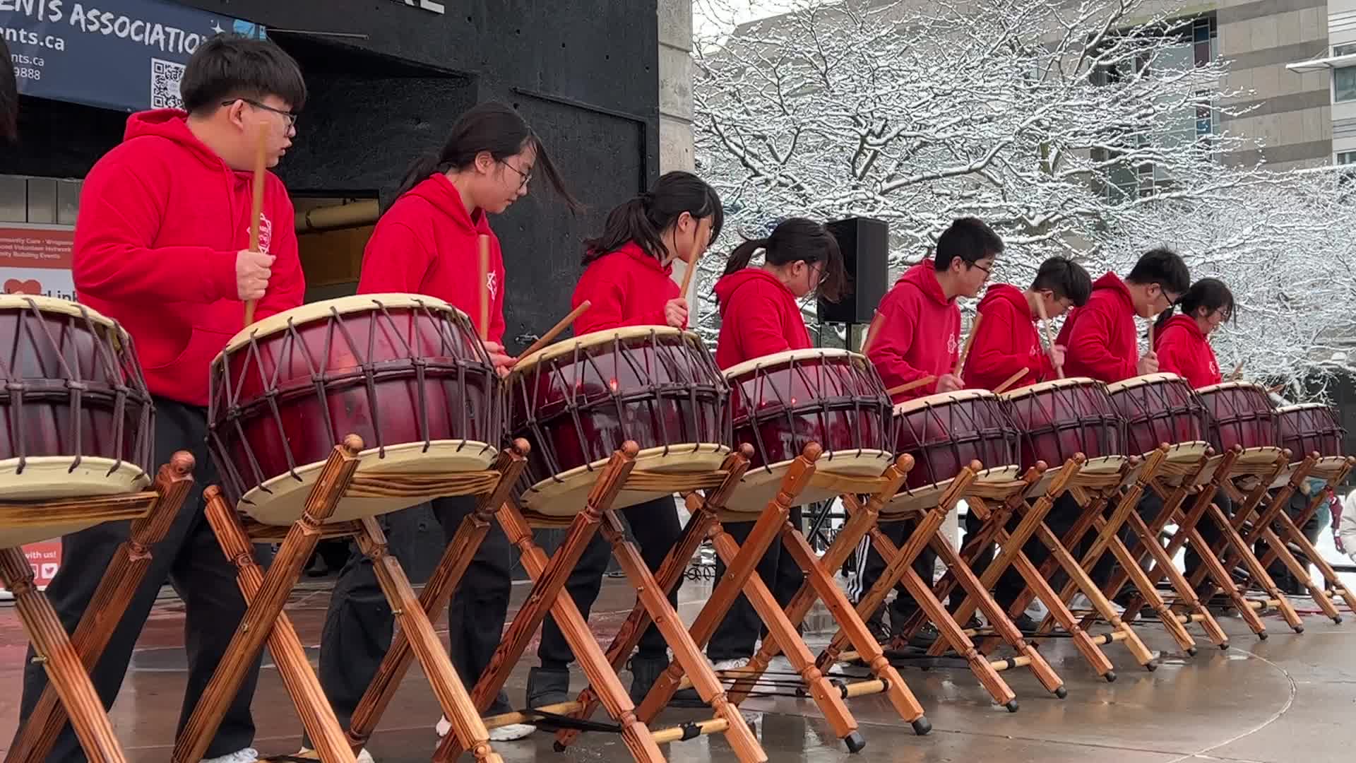 Lunar New Year Celebration in Toronto