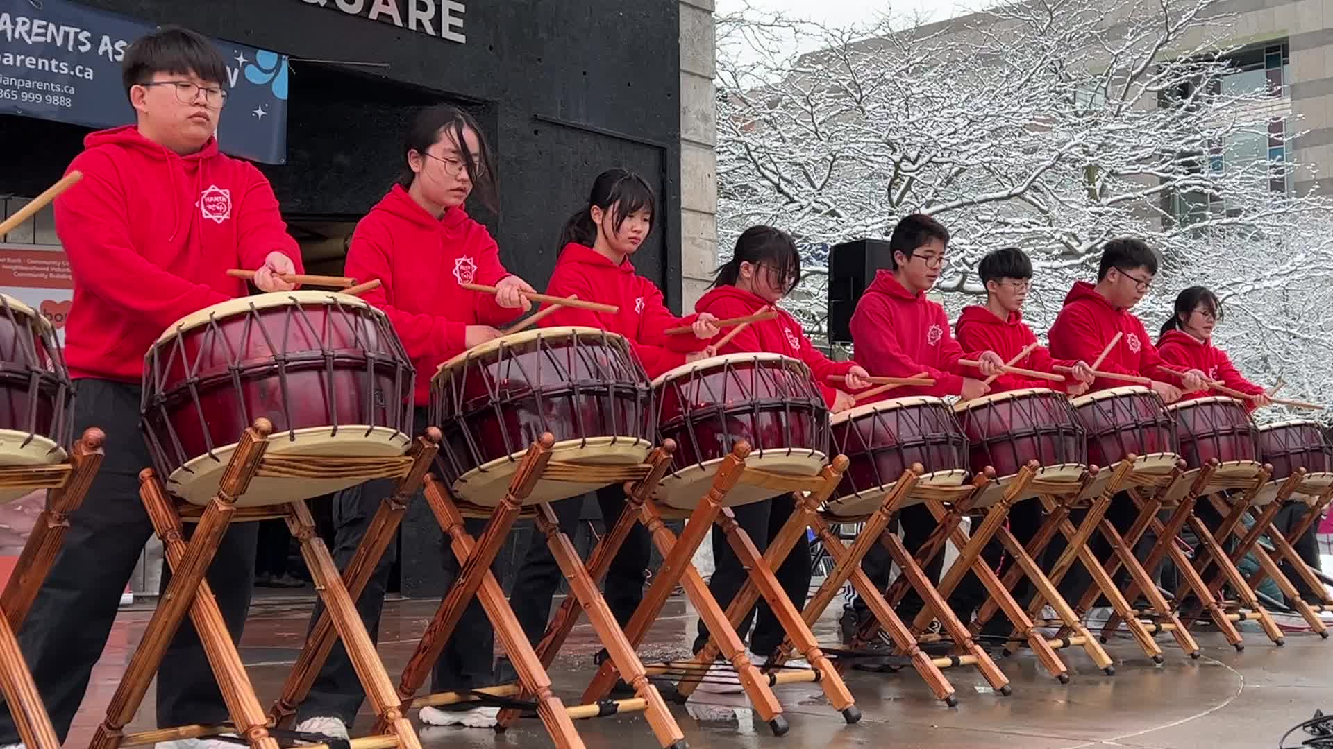 Lunar New Year Celebration in Toronto