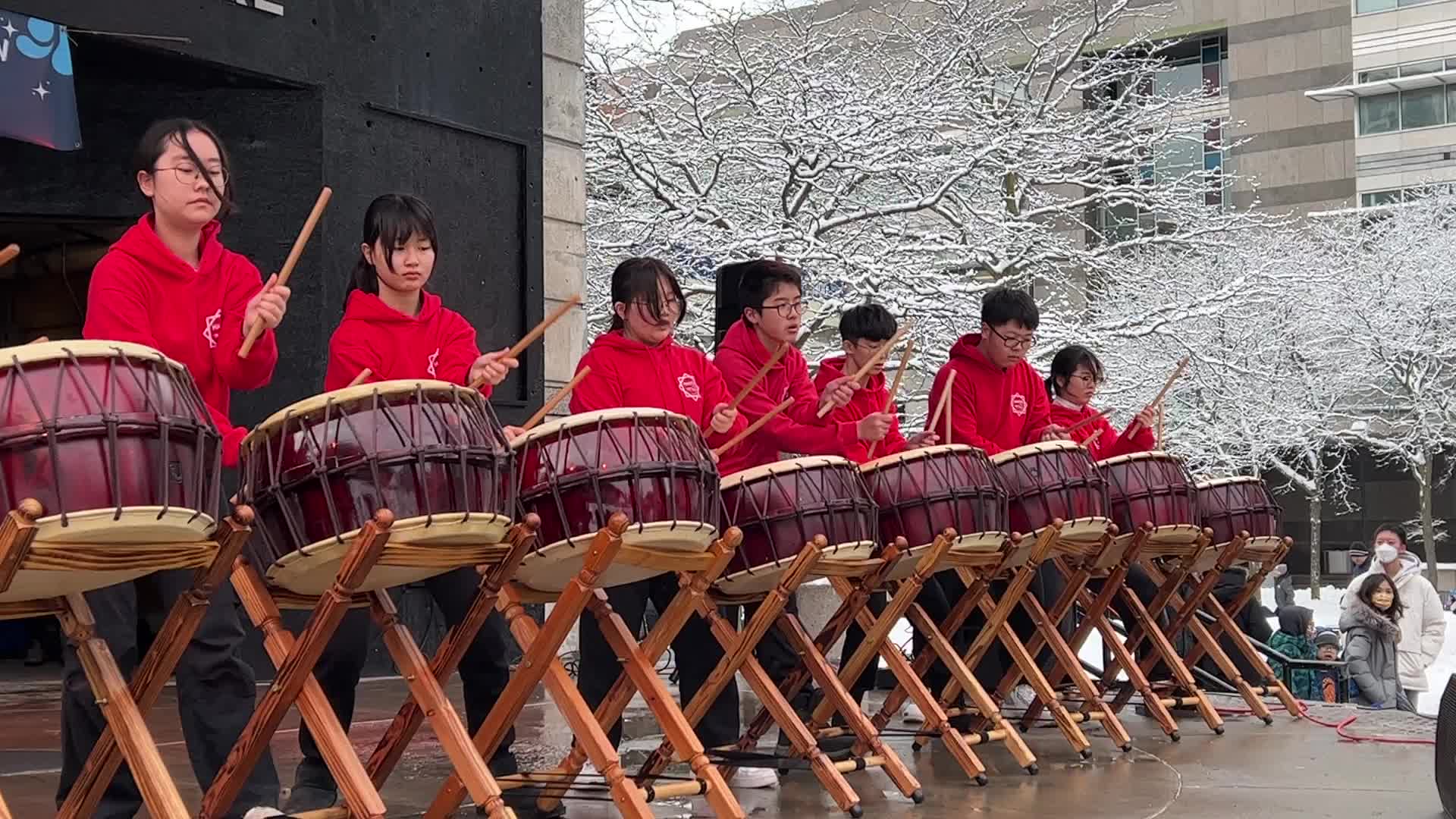 Lunar New Year Celebration in Toronto