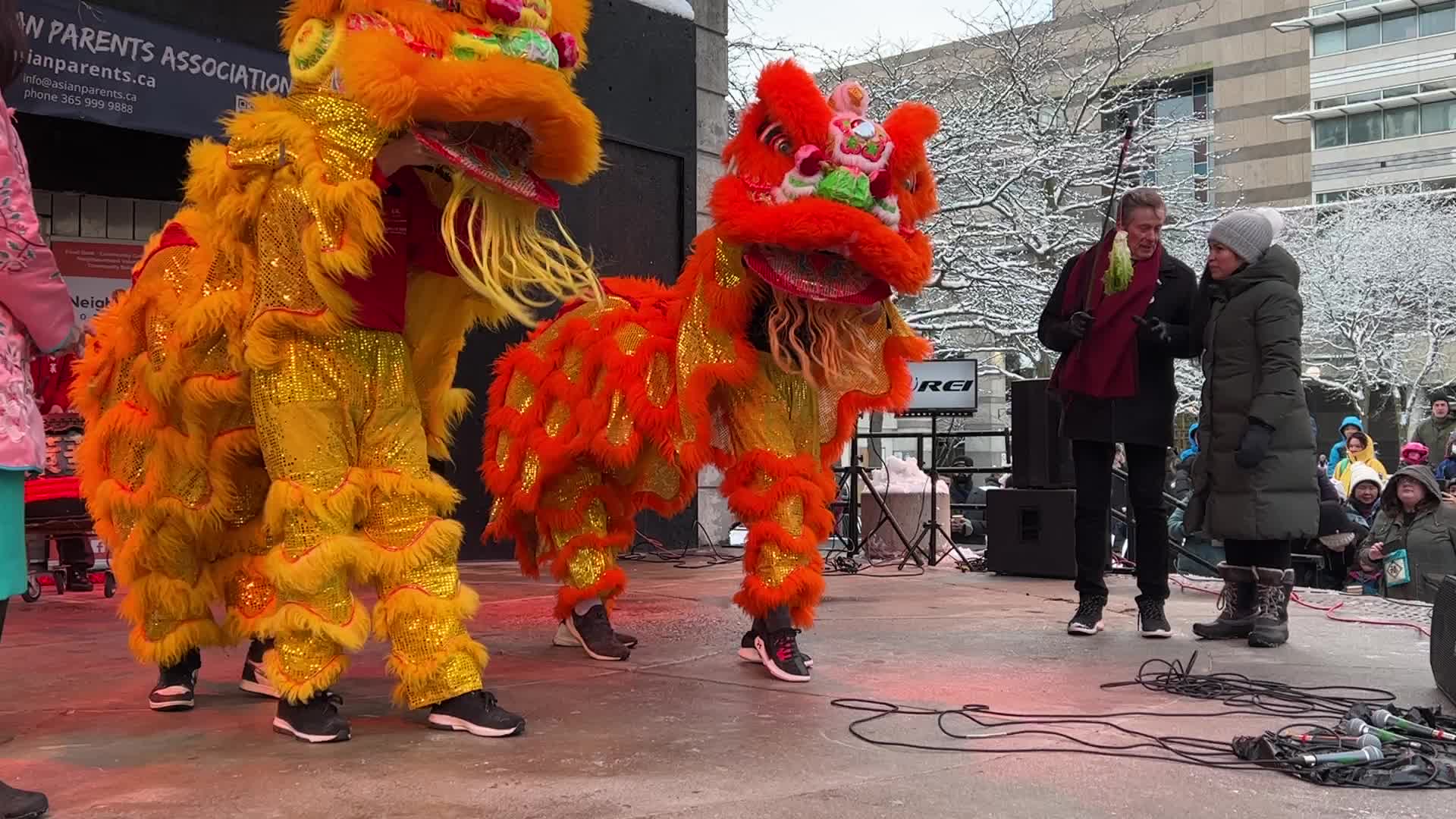Lunar New Year Celebration in Toronto