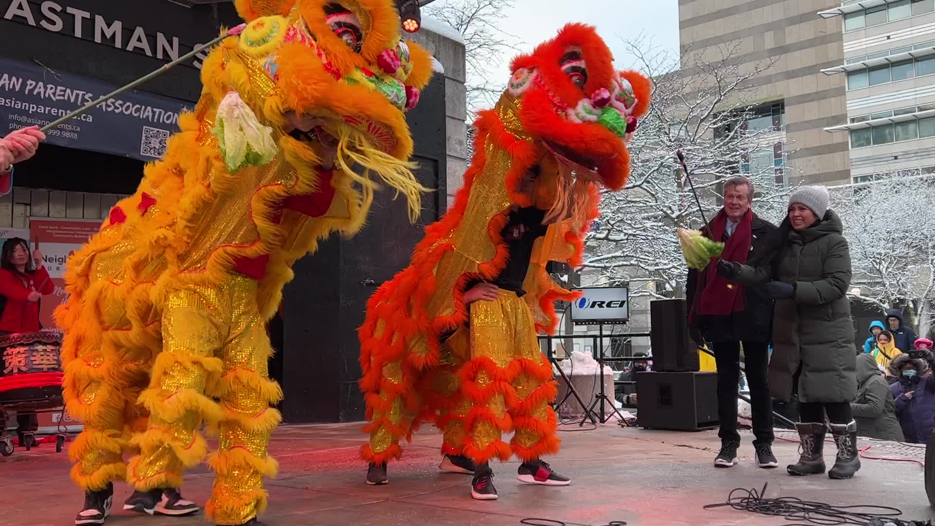 Lunar New Year Celebration in Toronto