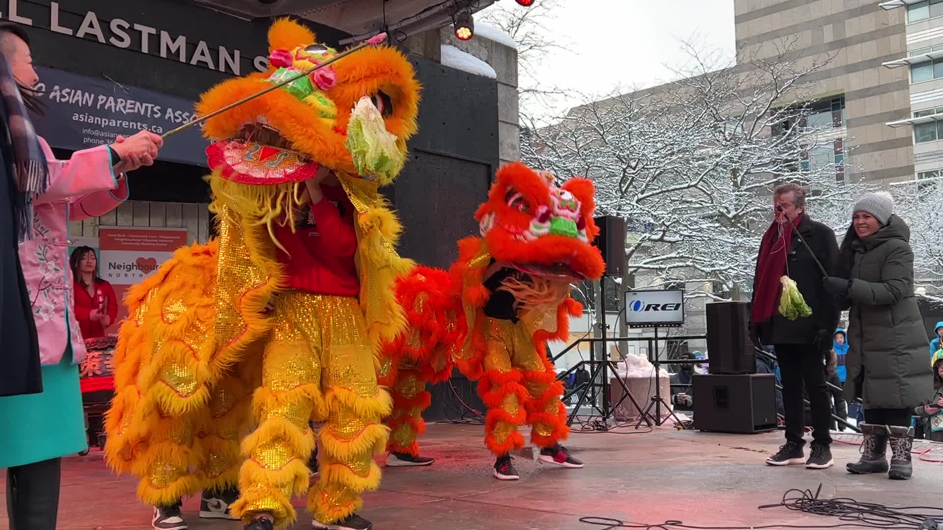 Lunar New Year Celebration in Toronto