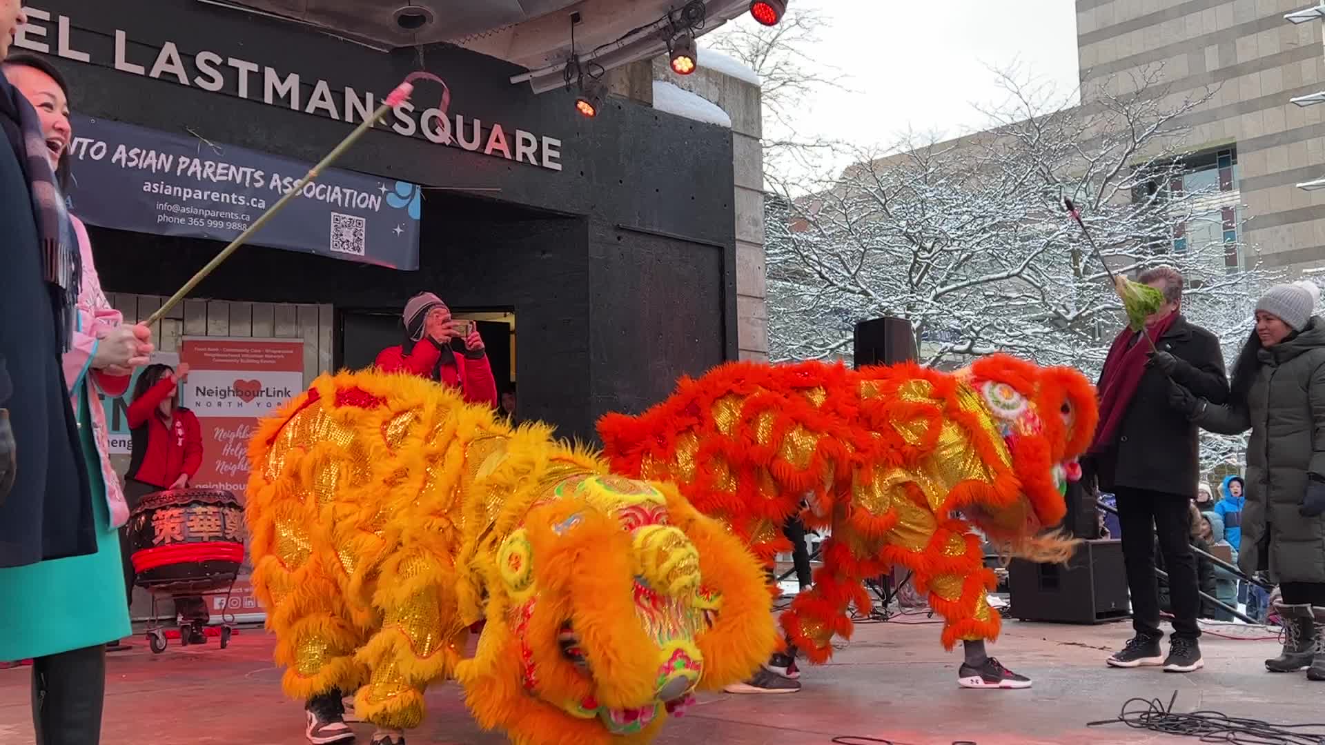 Lunar New Year Celebration in Toronto