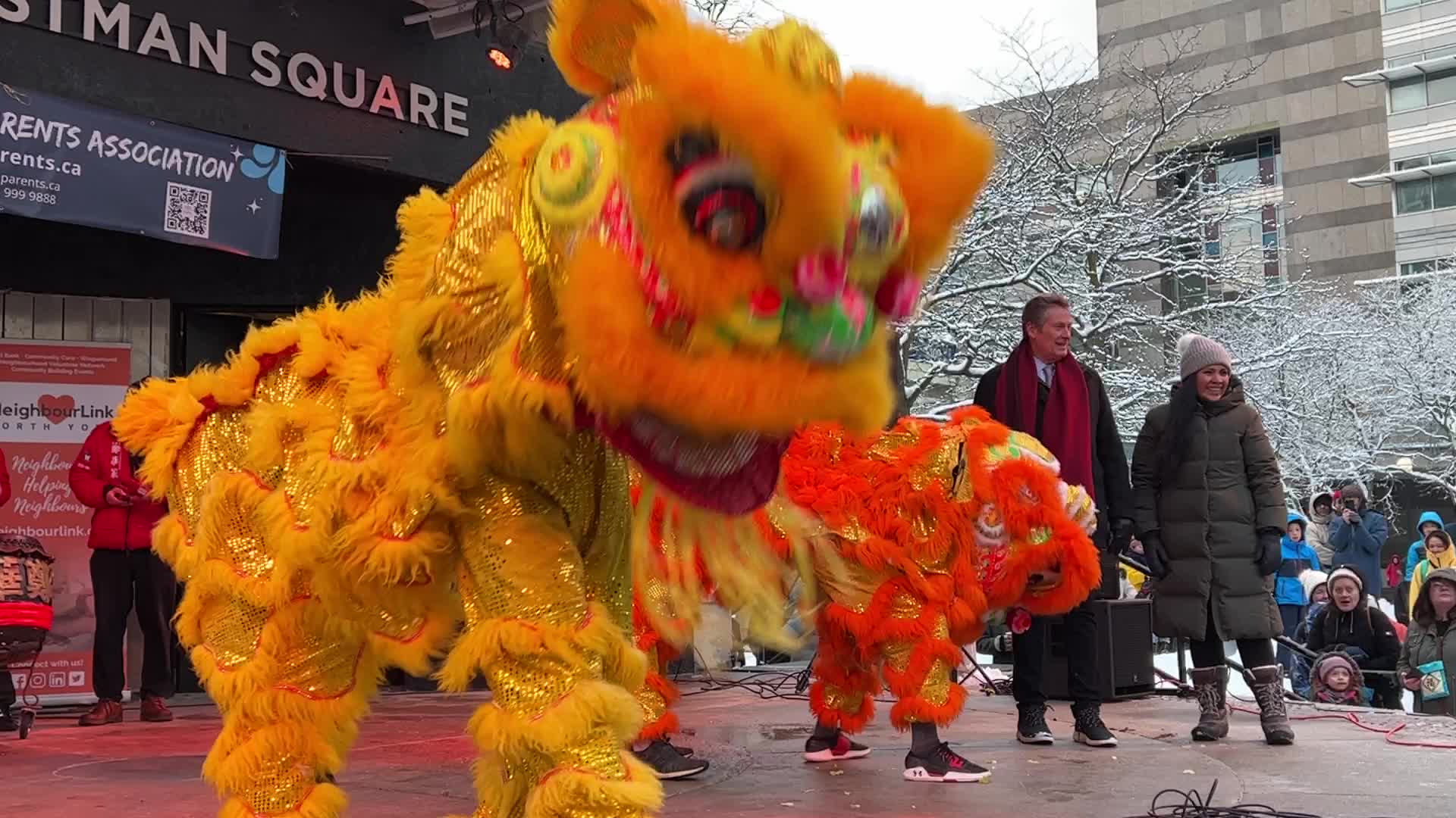 Lunar New Year Celebration in Toronto